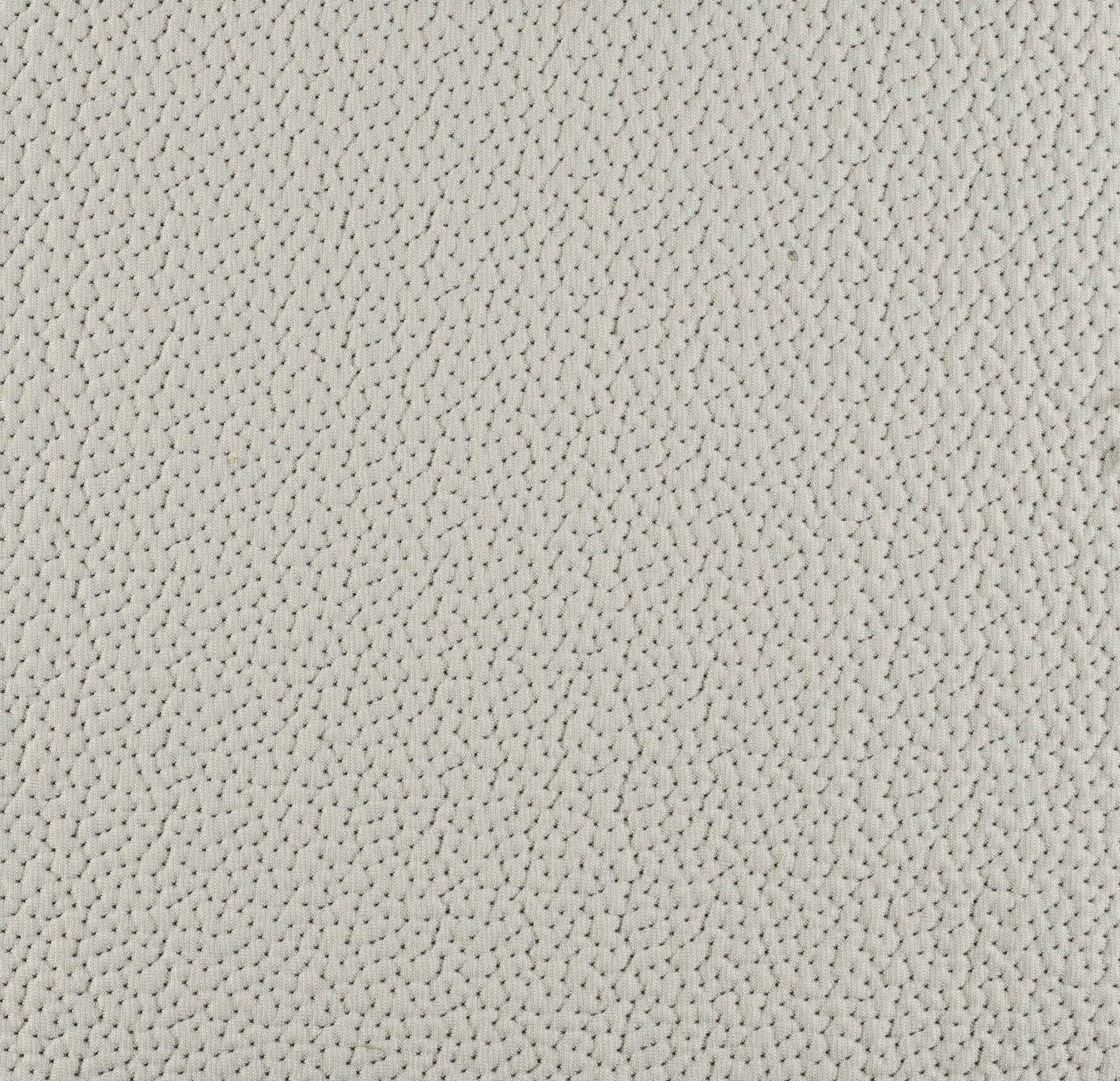 Coral - Image 1