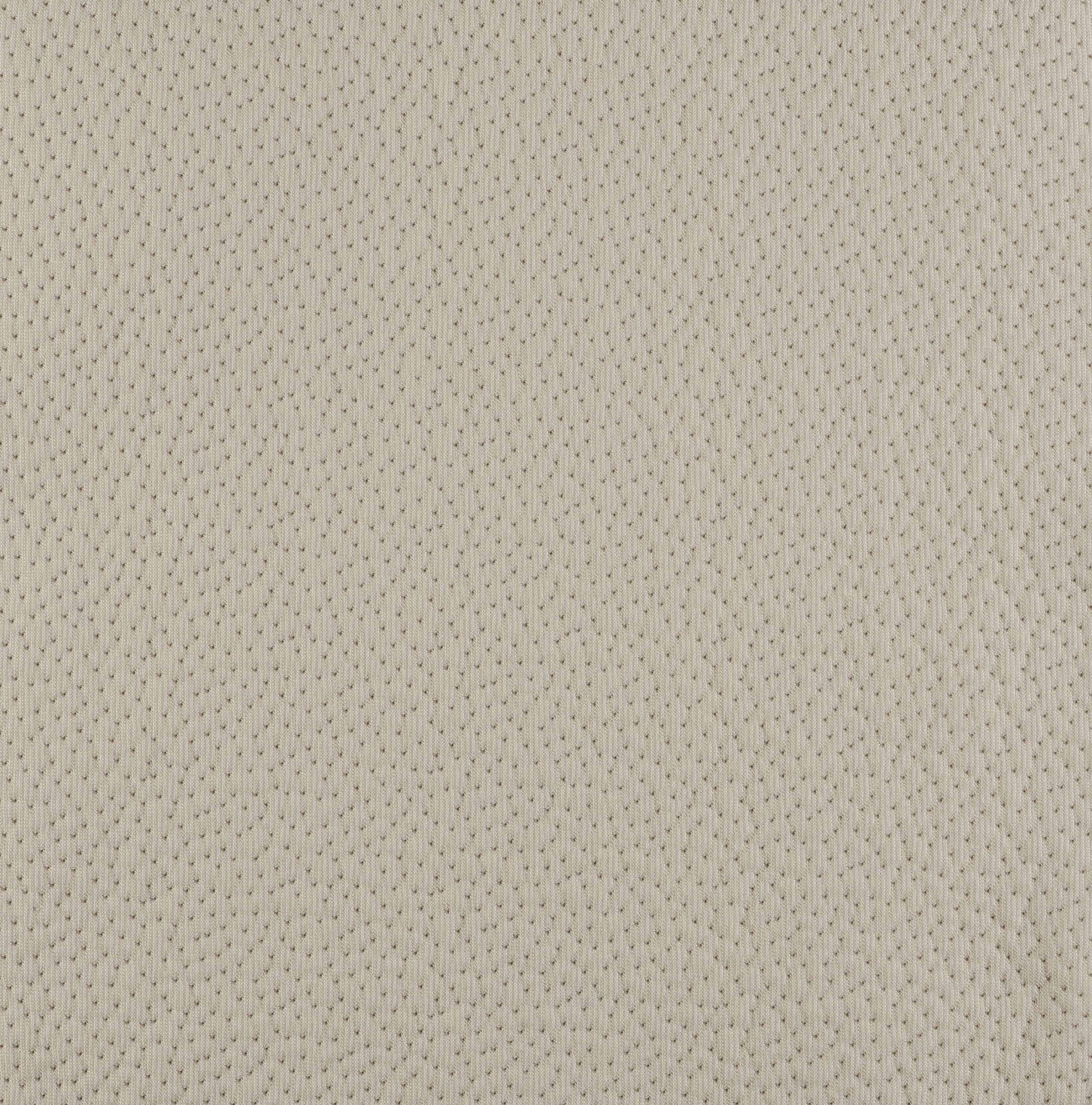 Coral - Image 3