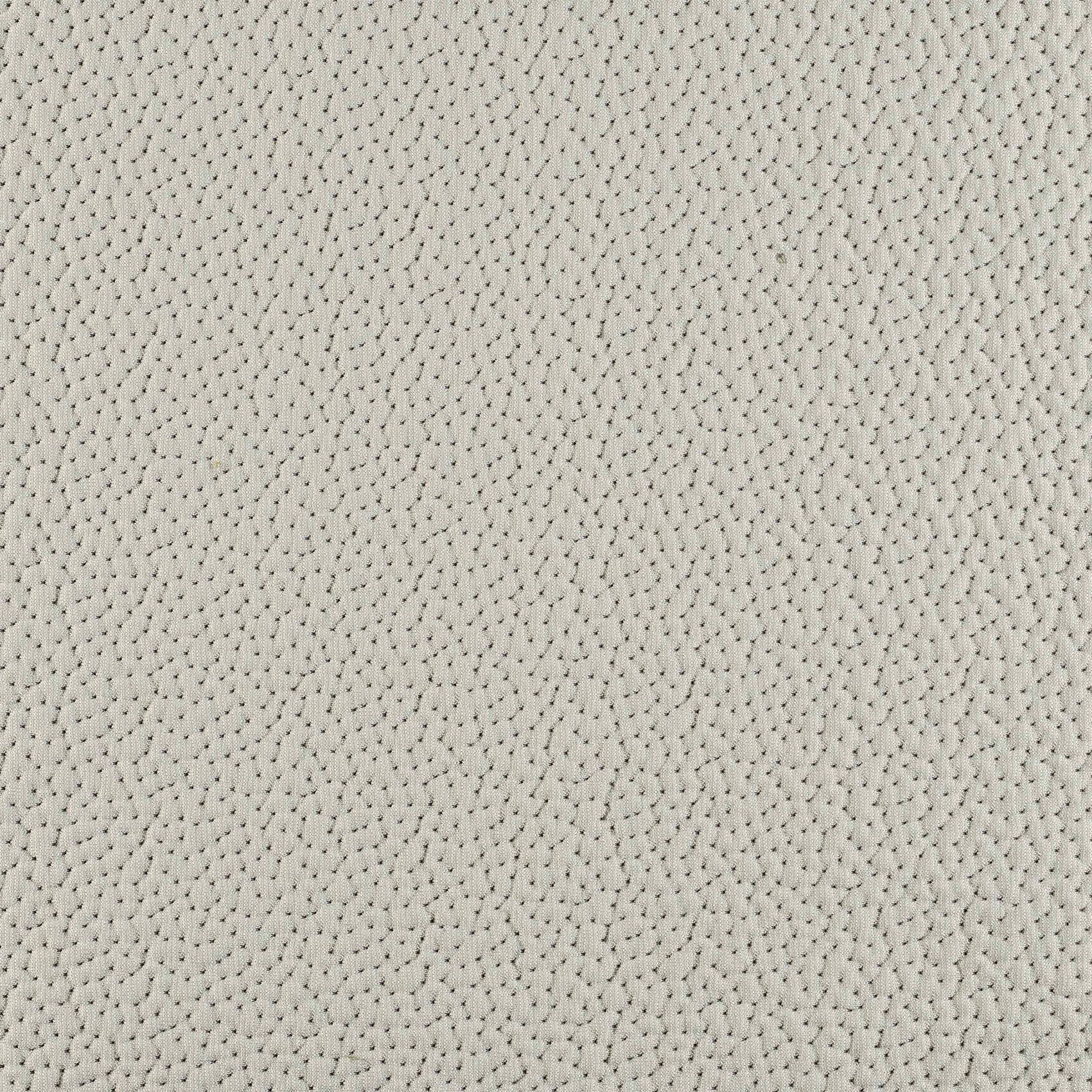 Coral - Image 1