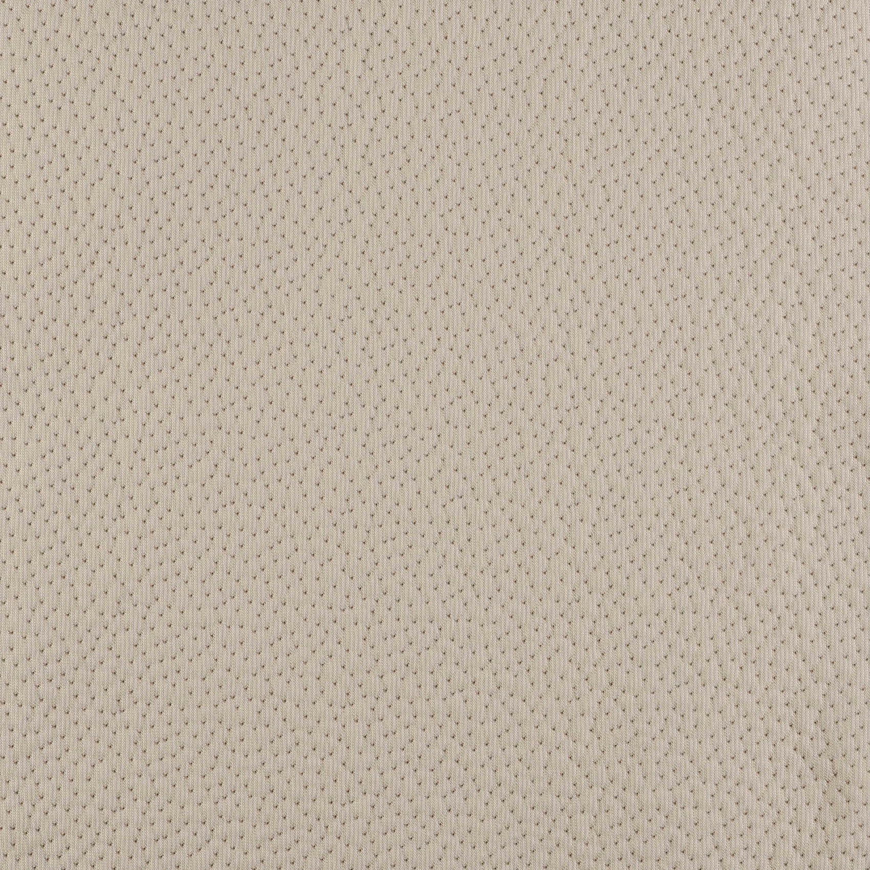 Coral - Image 3