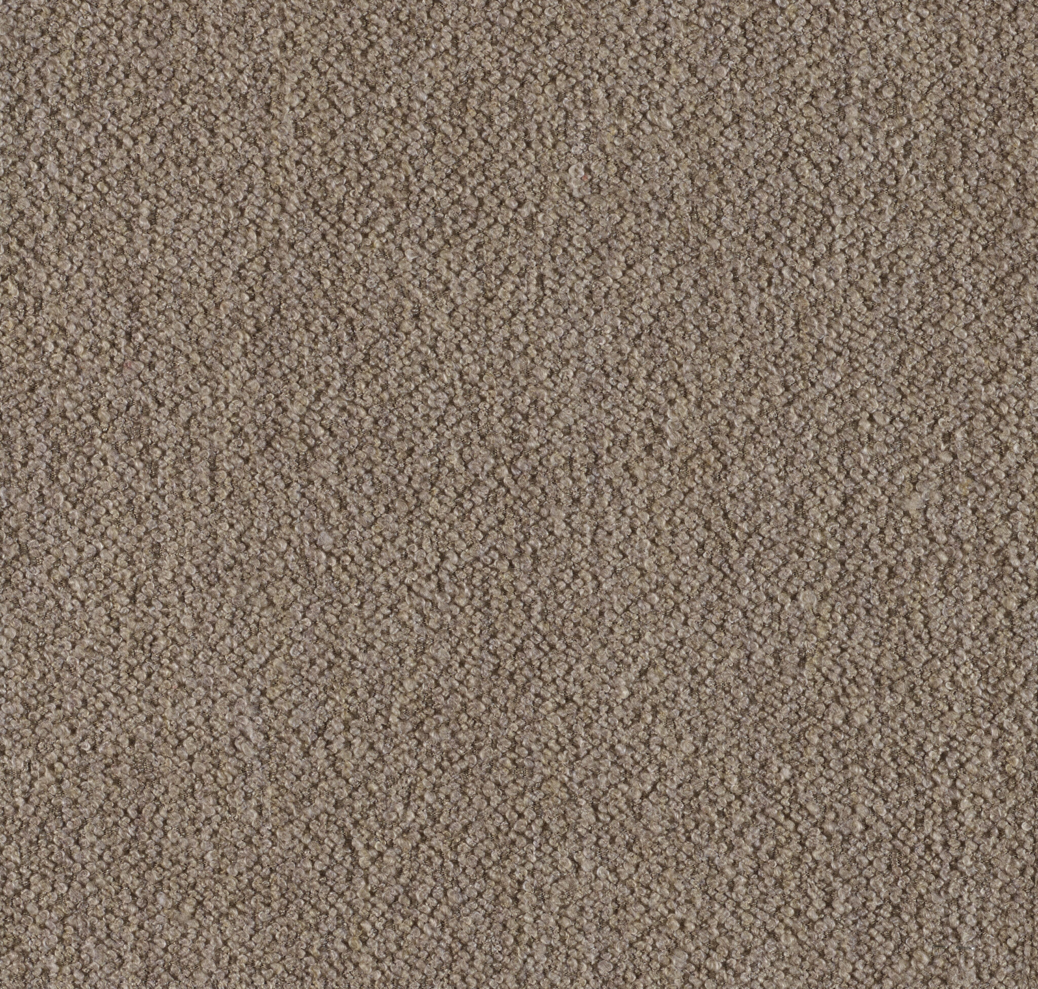 Classic - Image 13