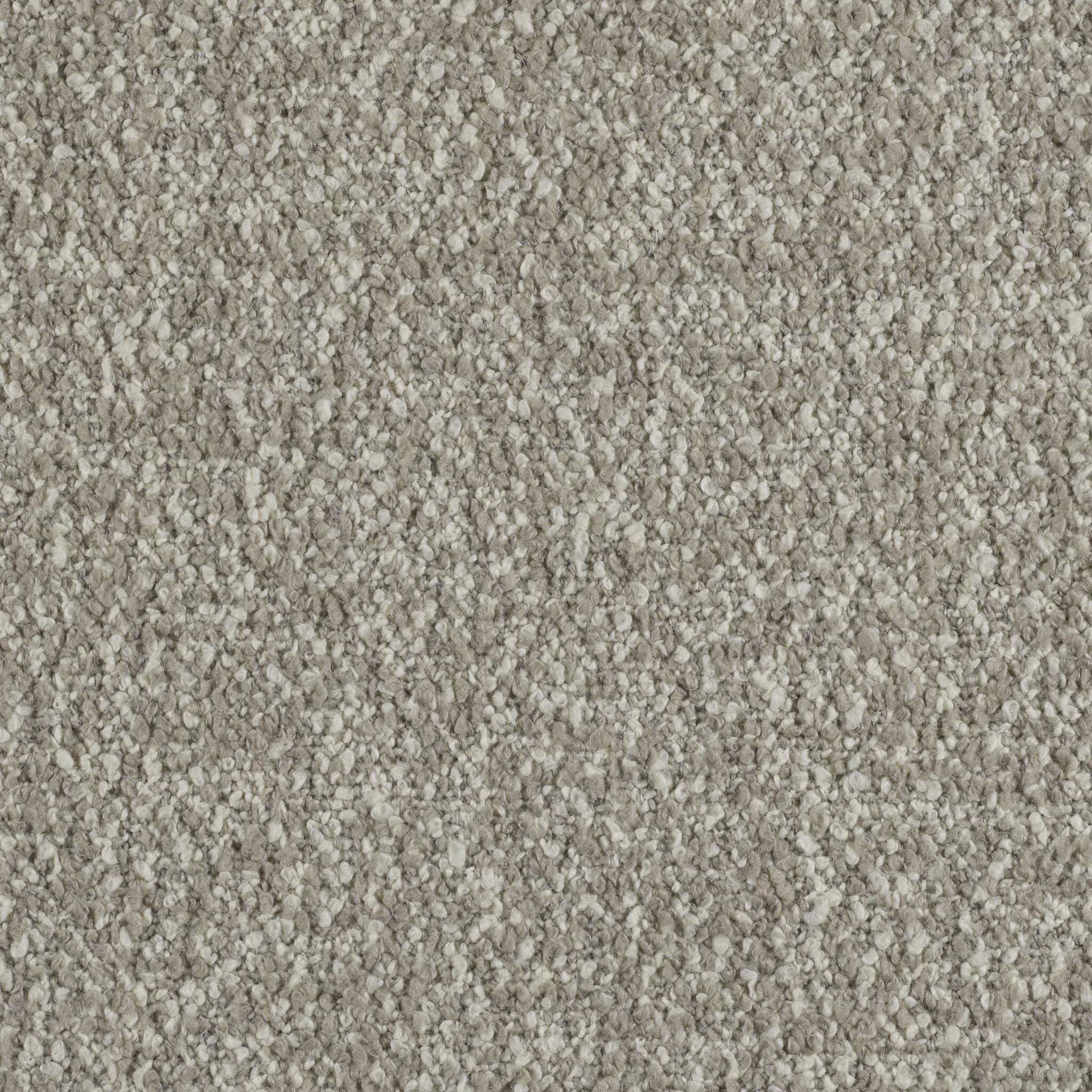 Curl - Image 1