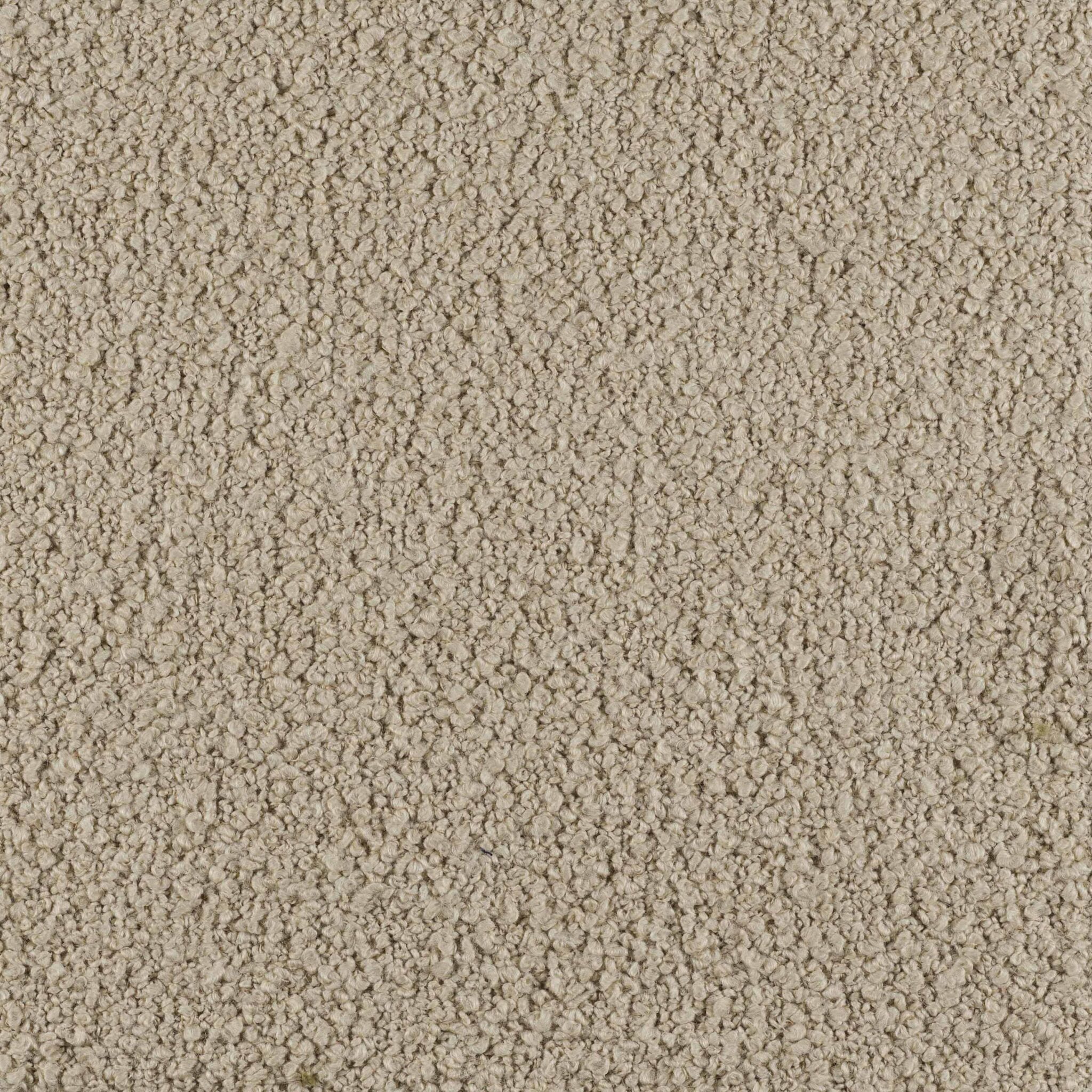 Curl - Image 2