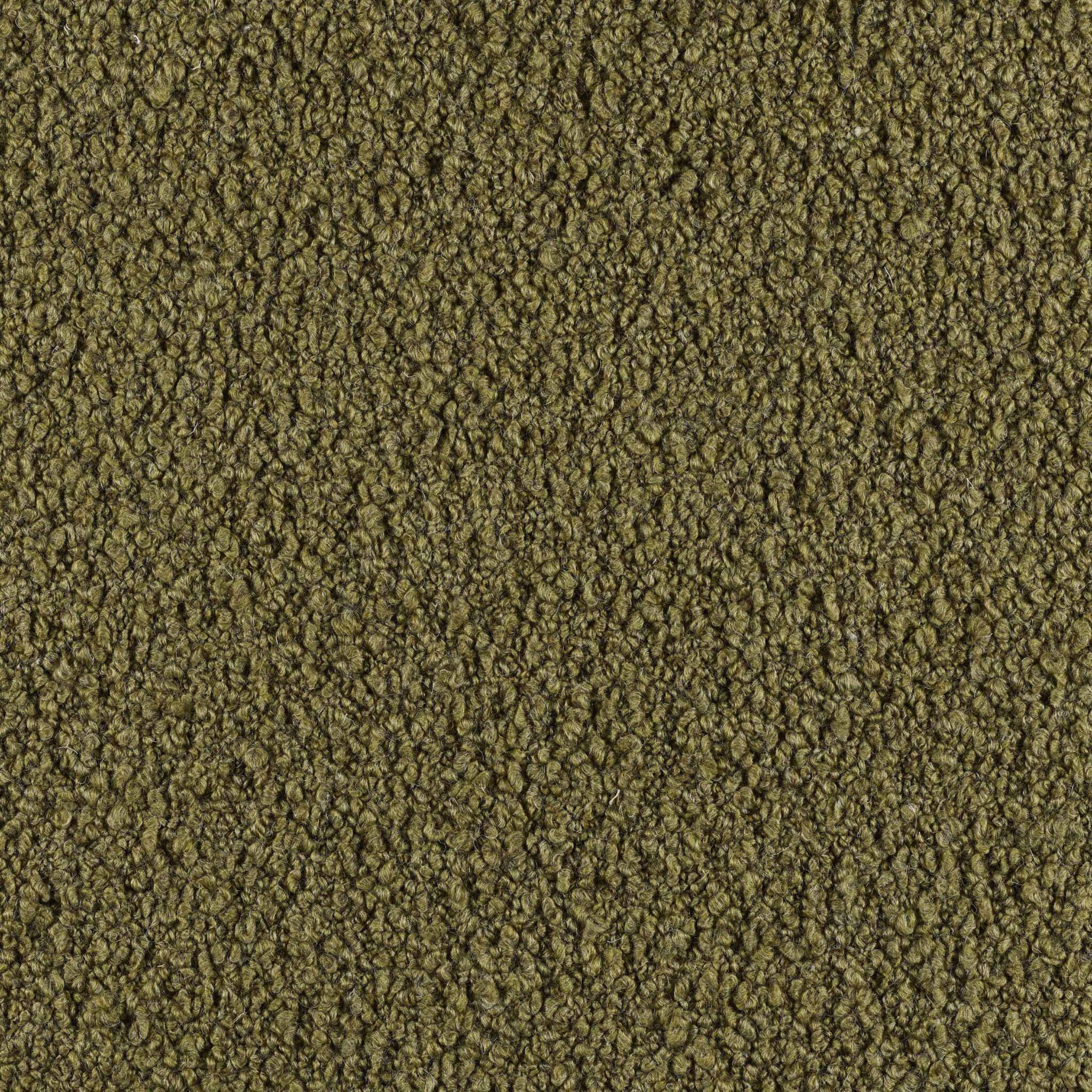 Curl - Image 3