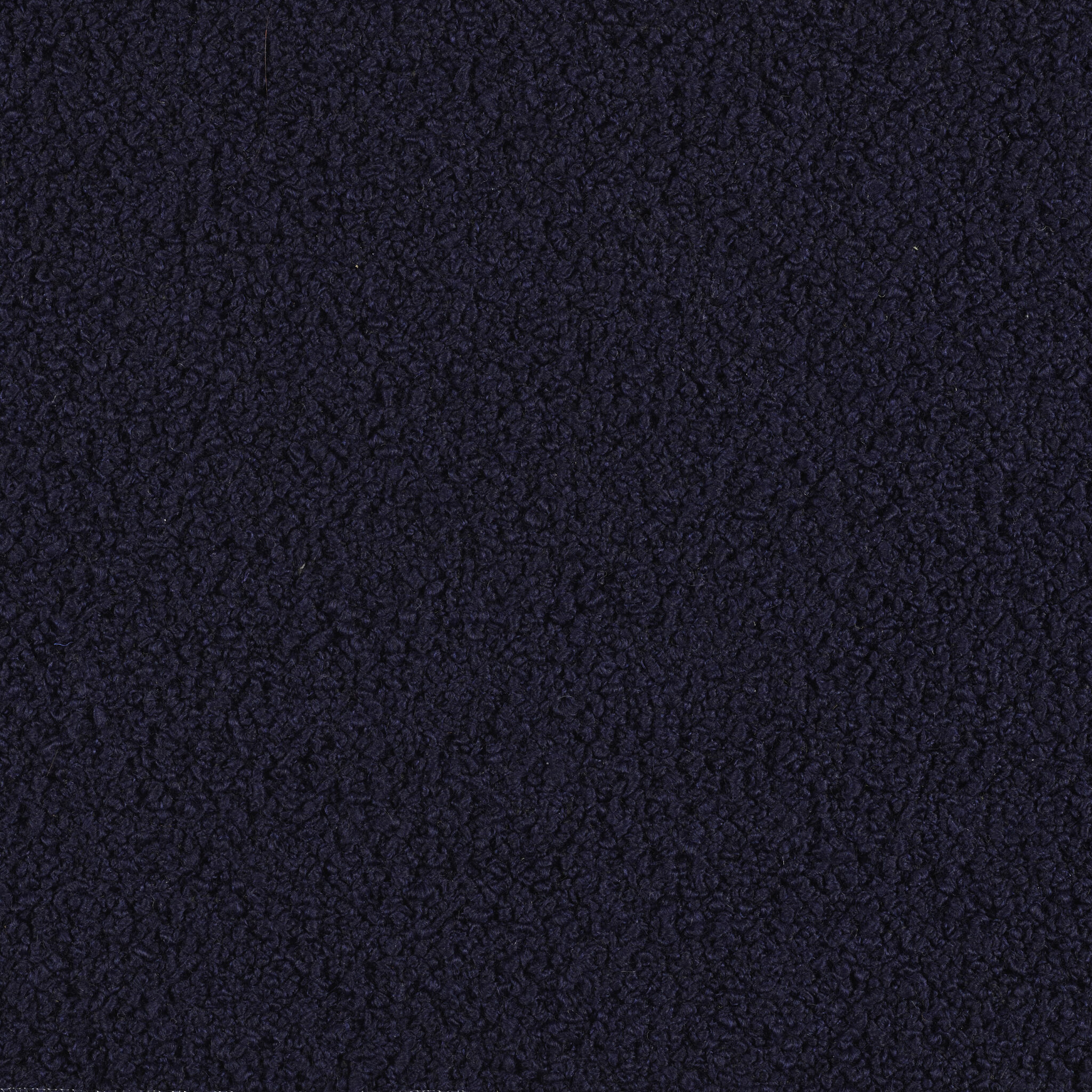 Curl - Image 4