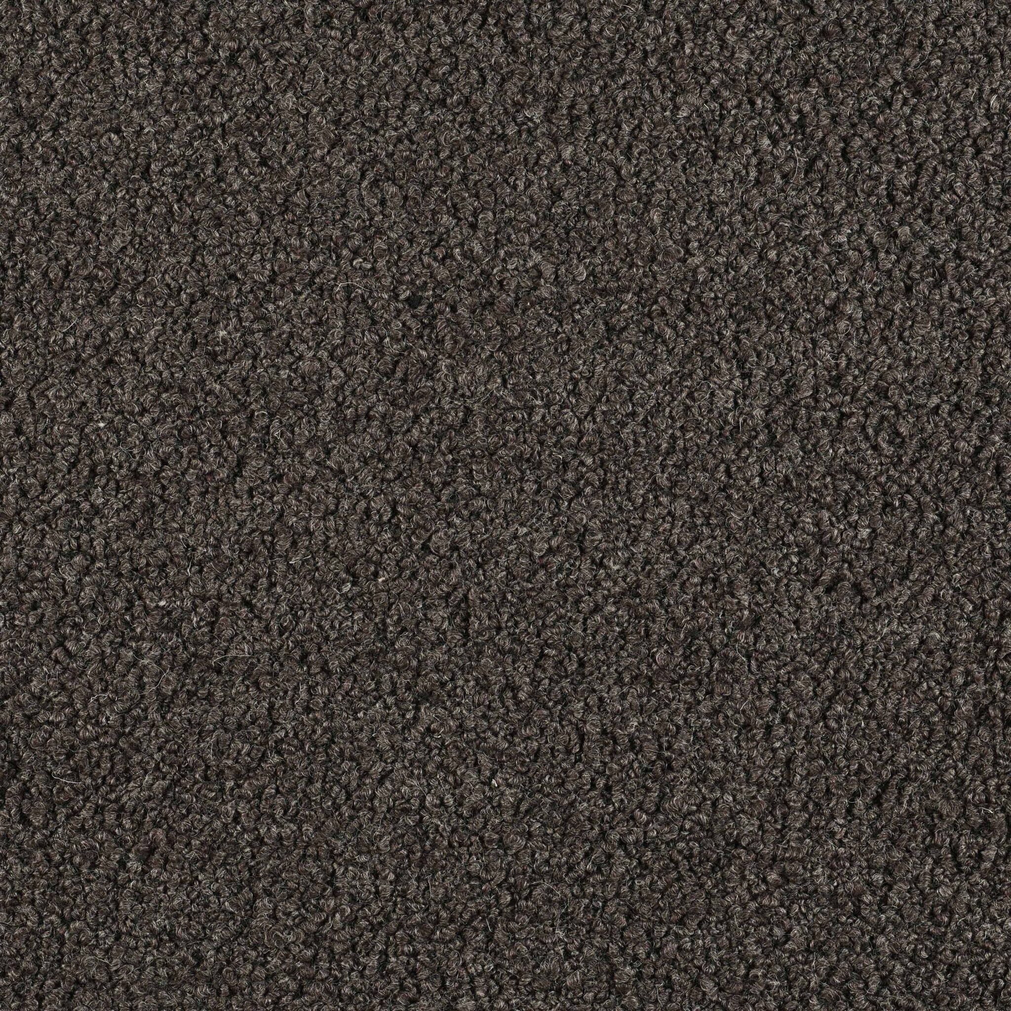 Curl - Image 5