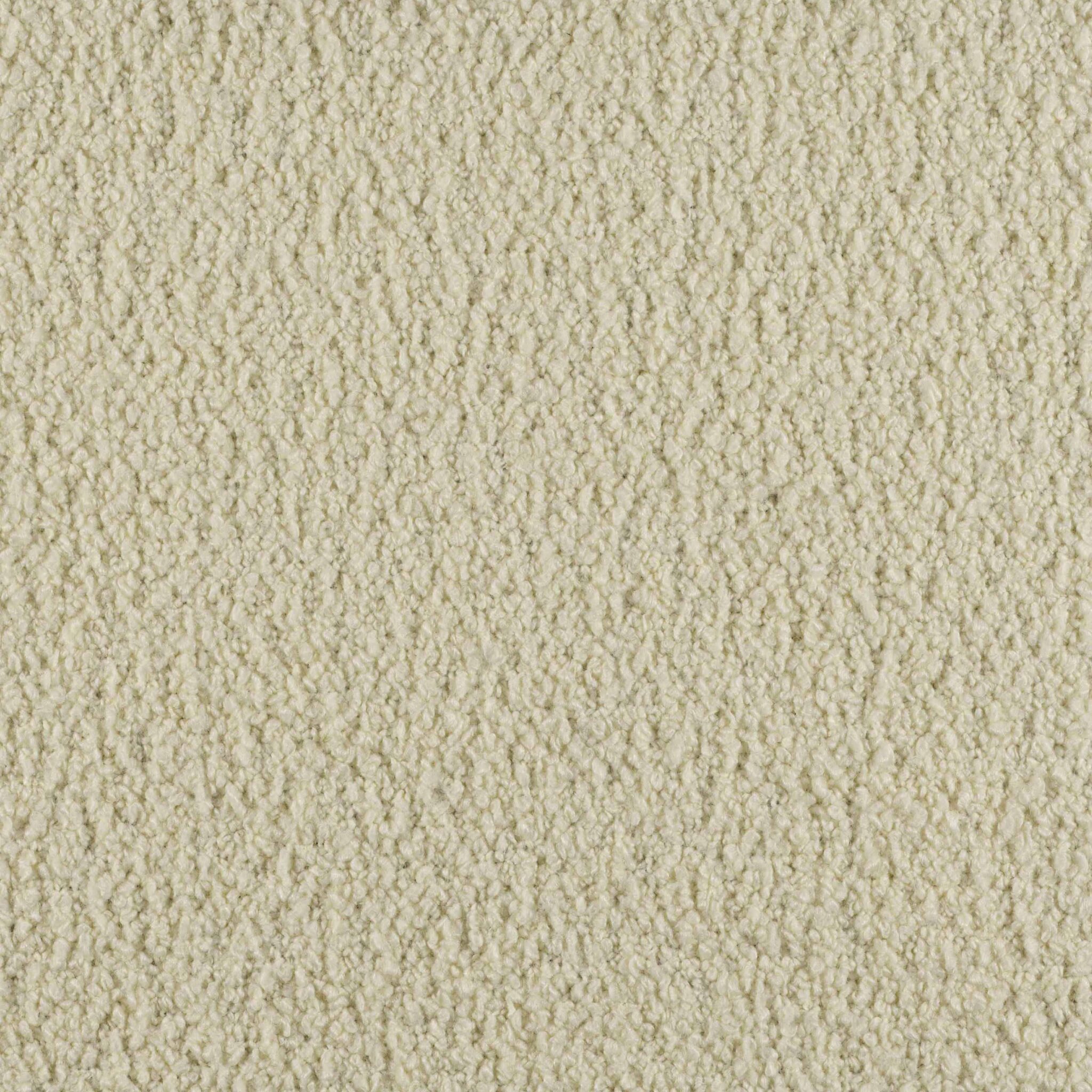Curl - Image 6