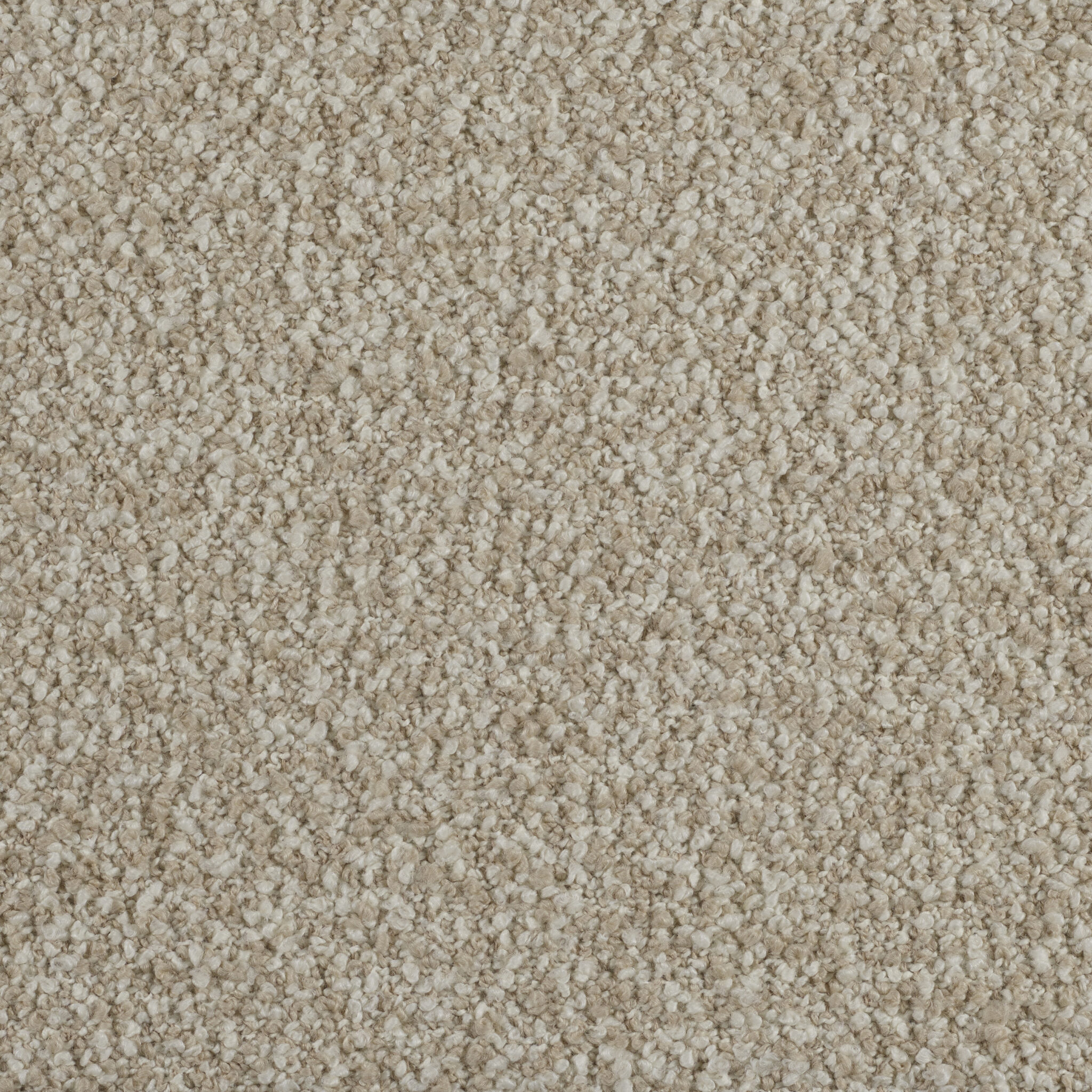 Curl - Image 7