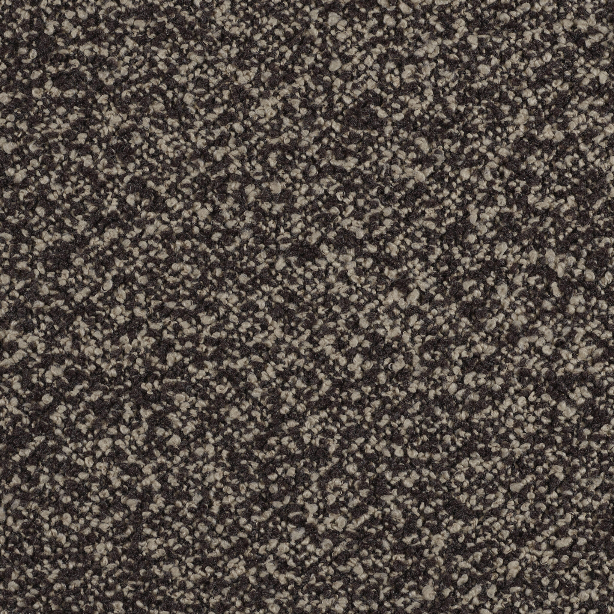 Curl - Image 8