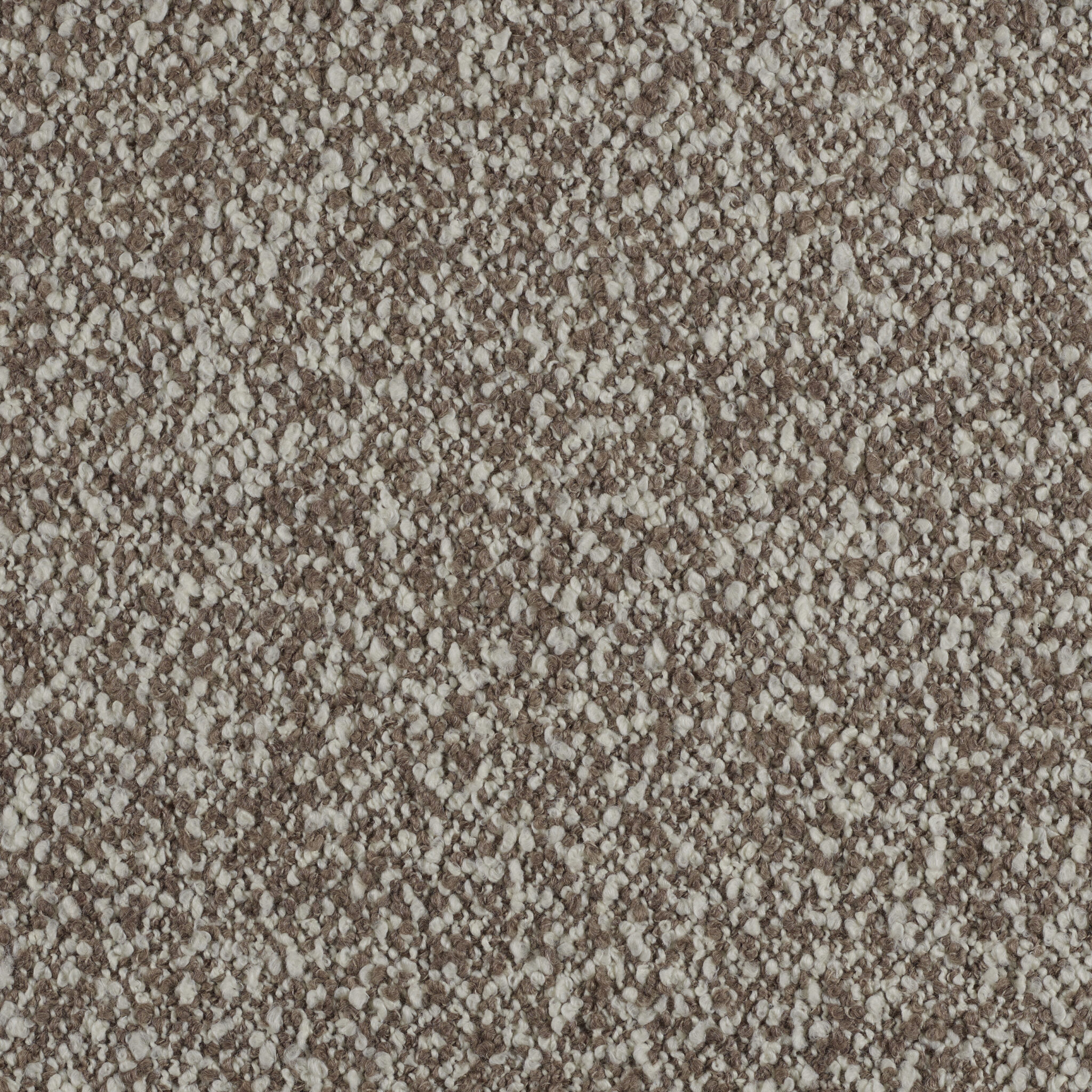 Curl - Image 9