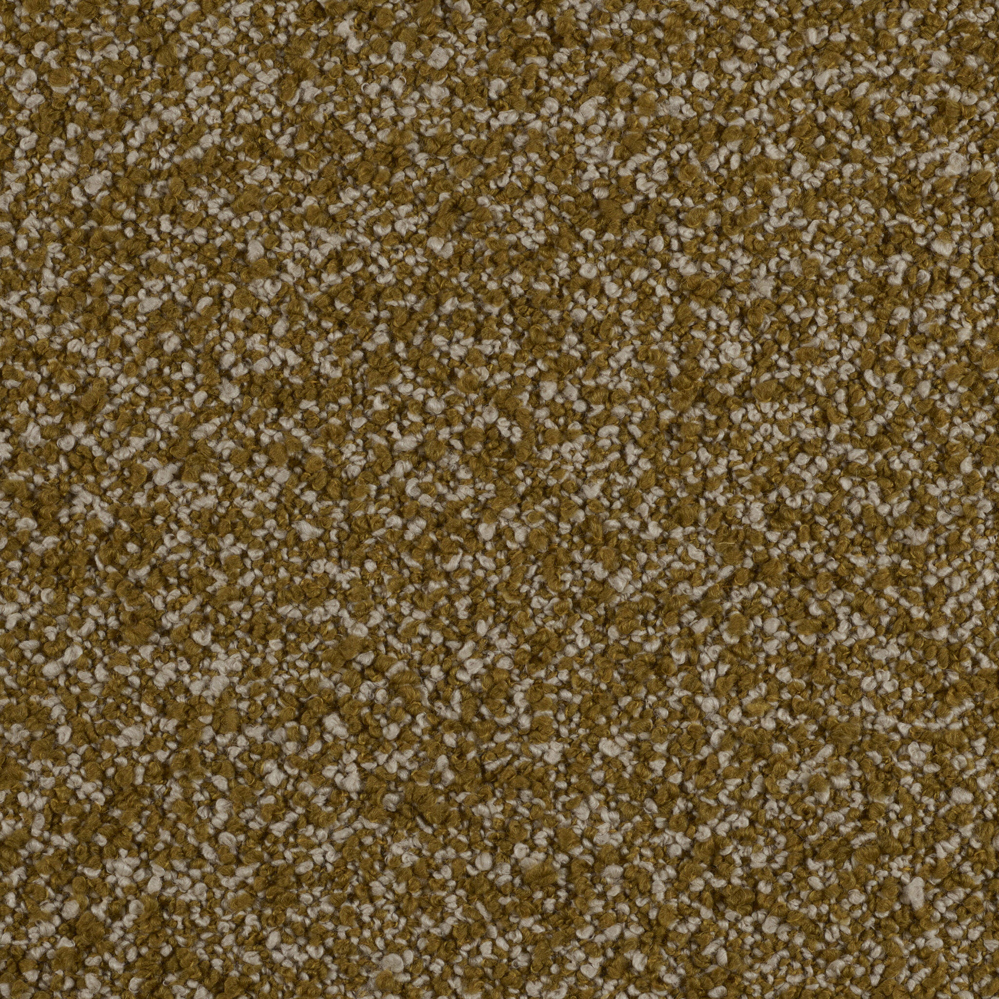 Curl - Image 10