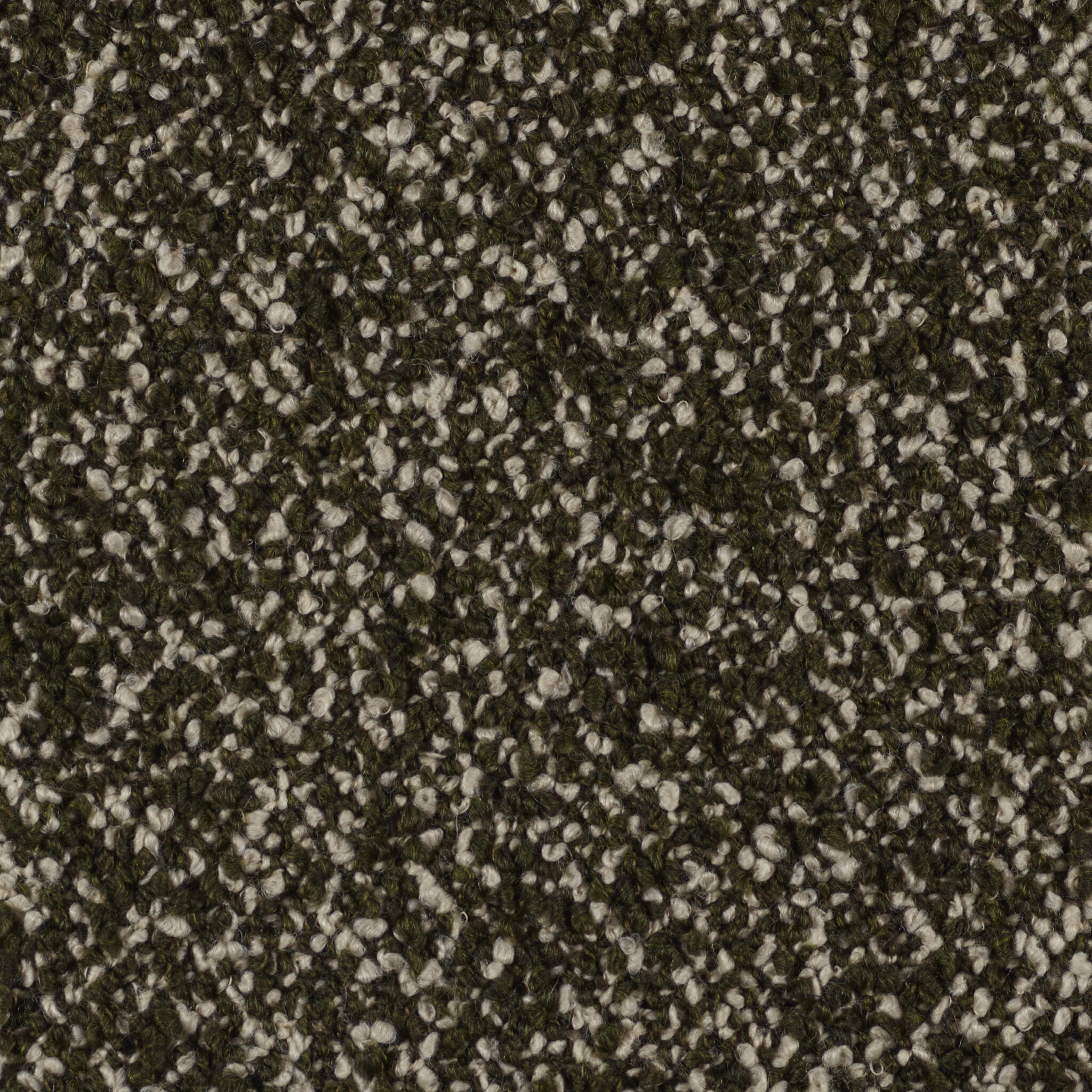 Curl - Image 11