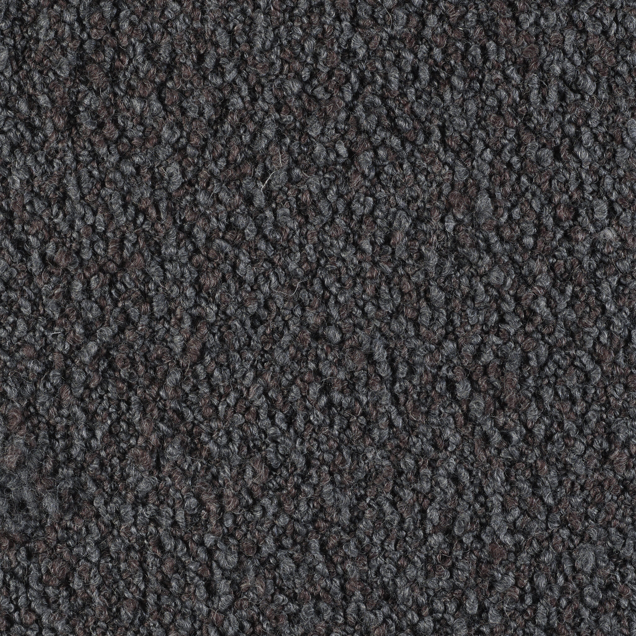 Curl - Image 12