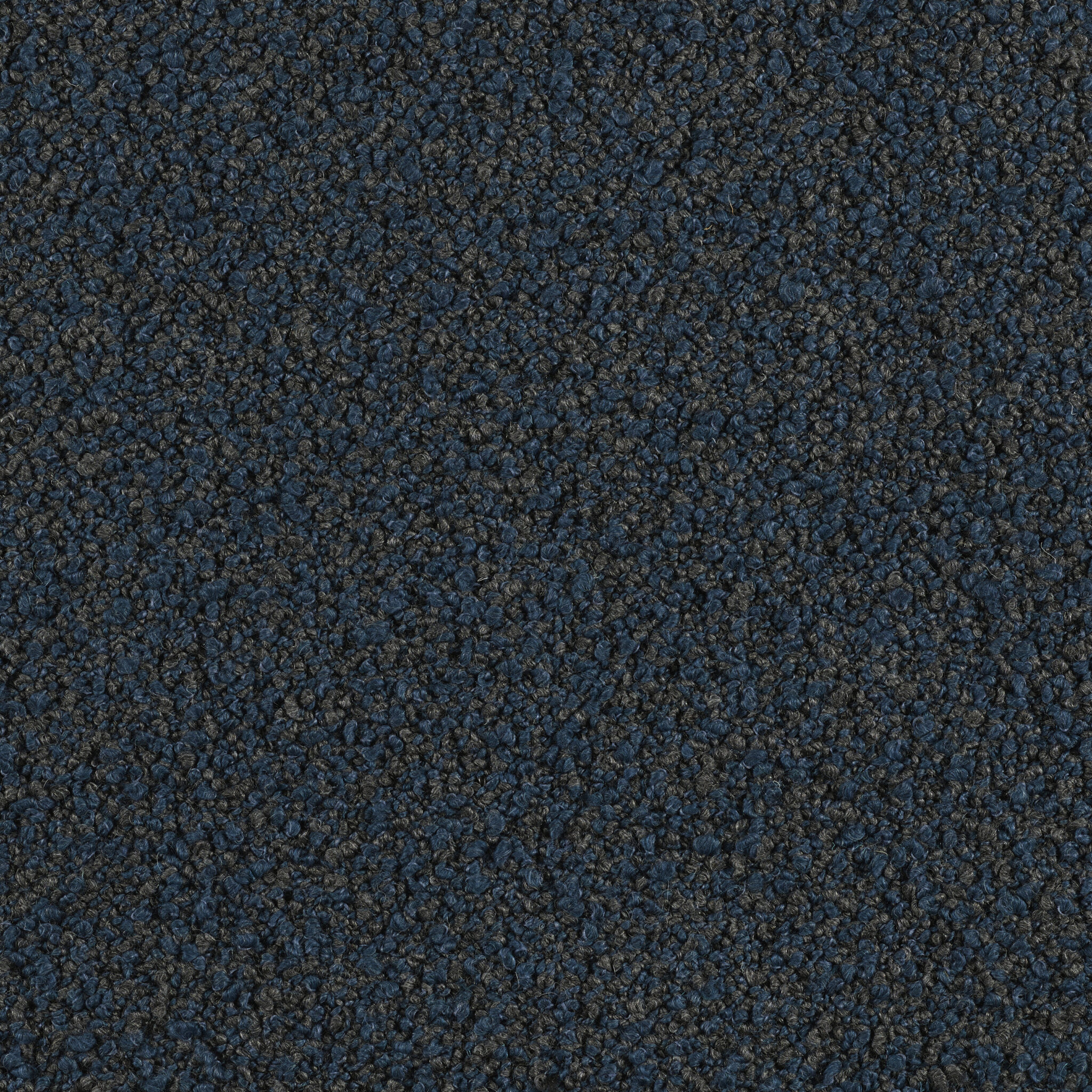 Curl - Image 13