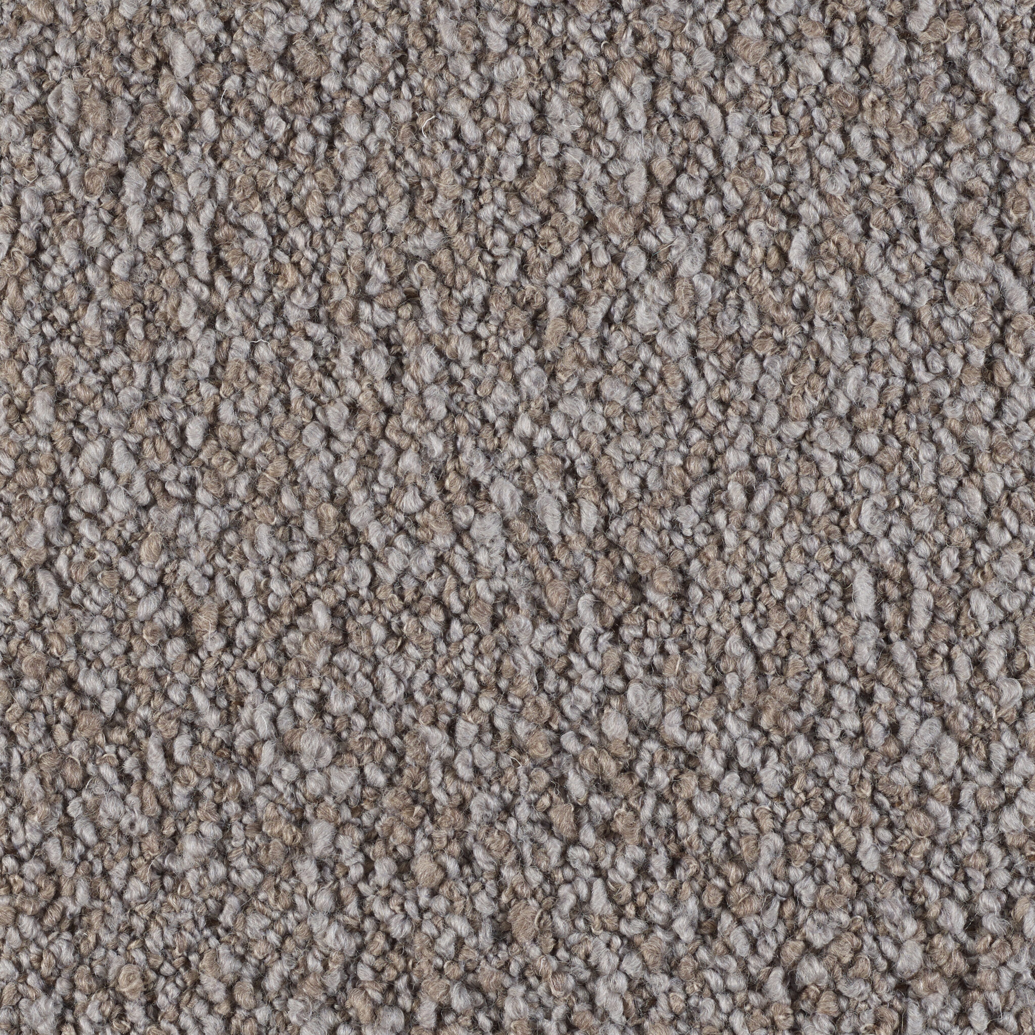 Curl - Image 14