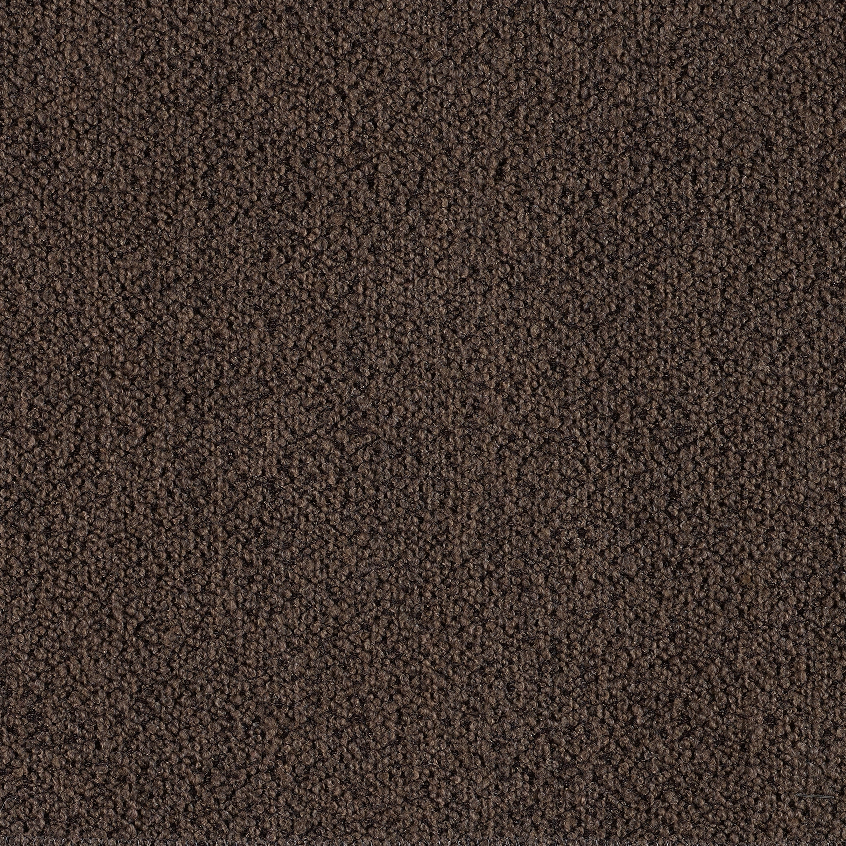 Classic - Image 1