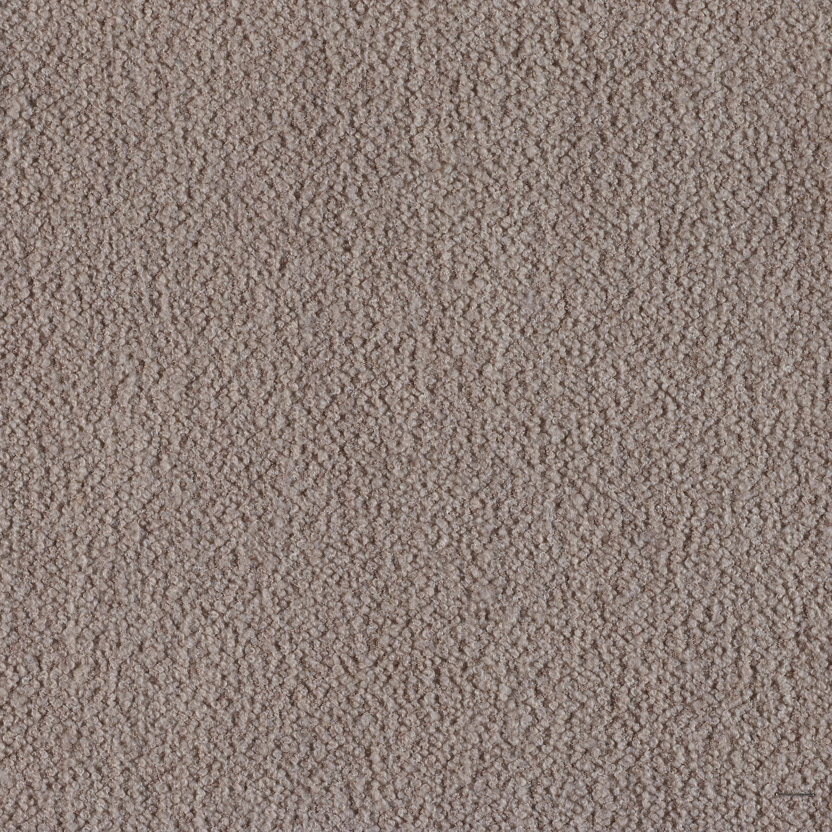 Classic - Image 4