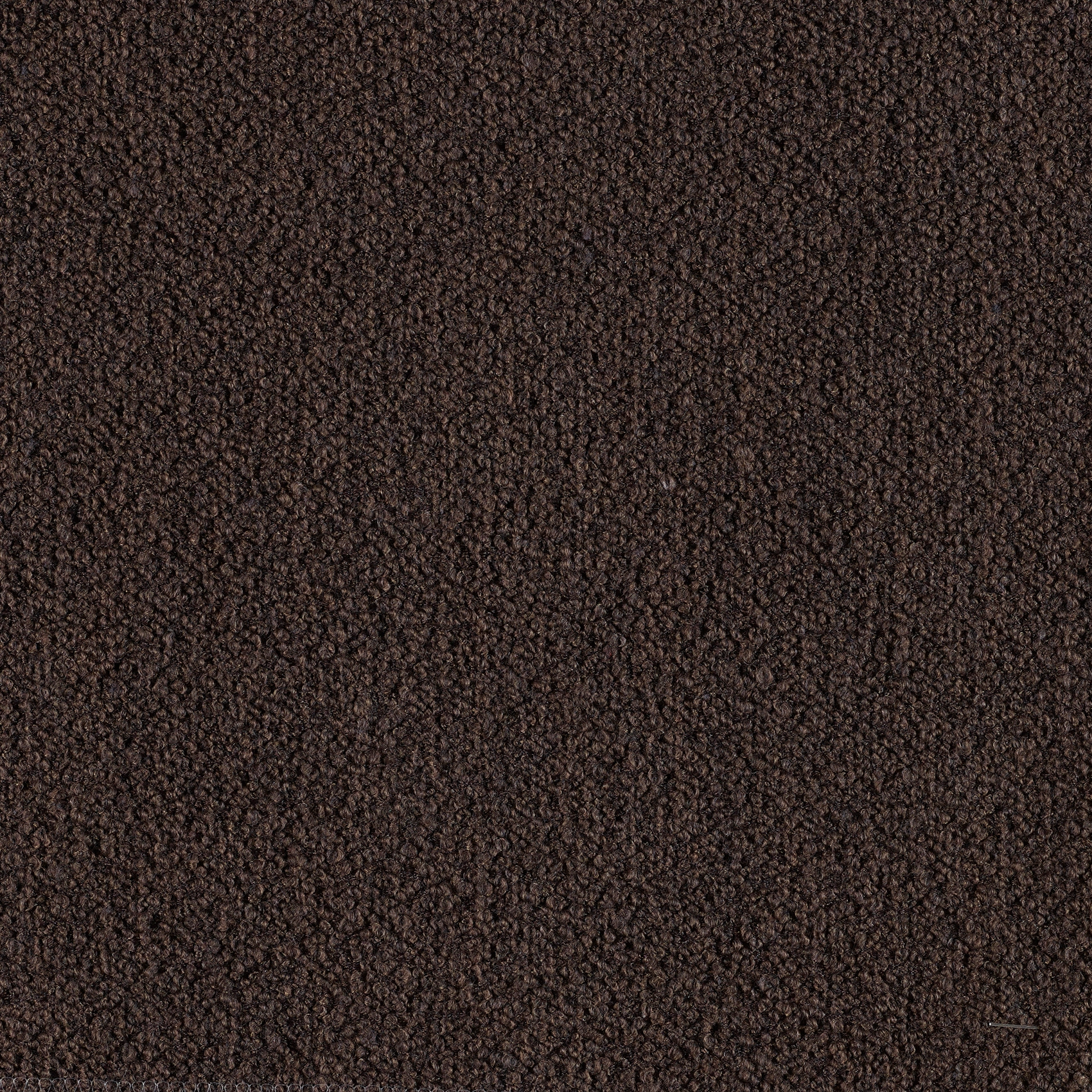 Classic - Image 6