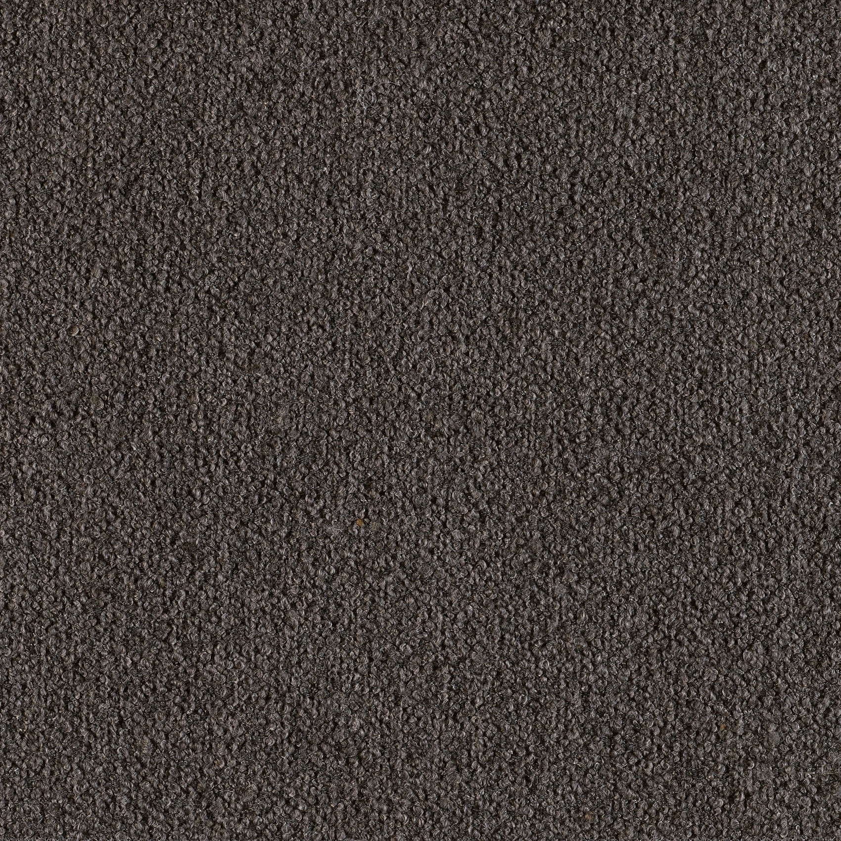 Classic - Image 8