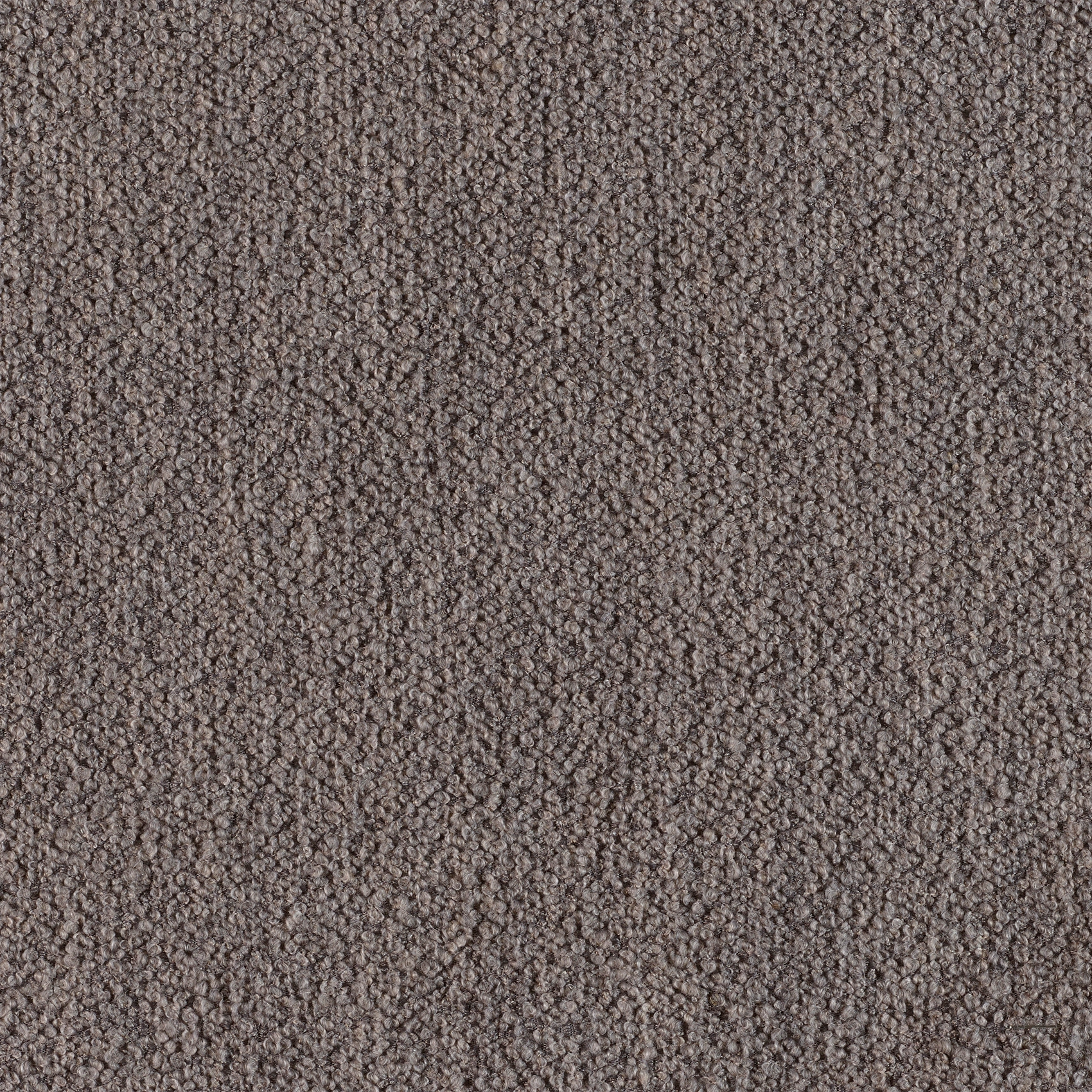 Classic - Image 12