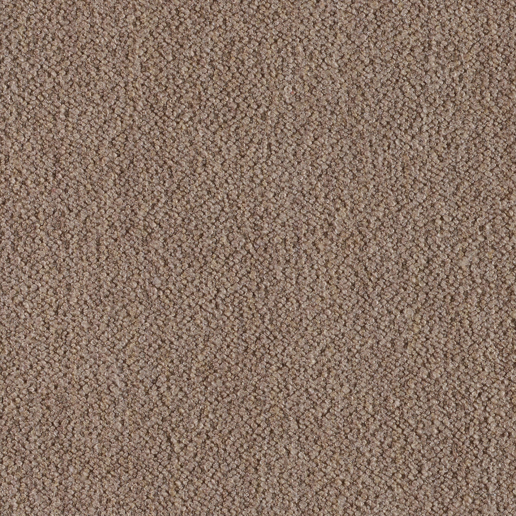 Classic - Image 15