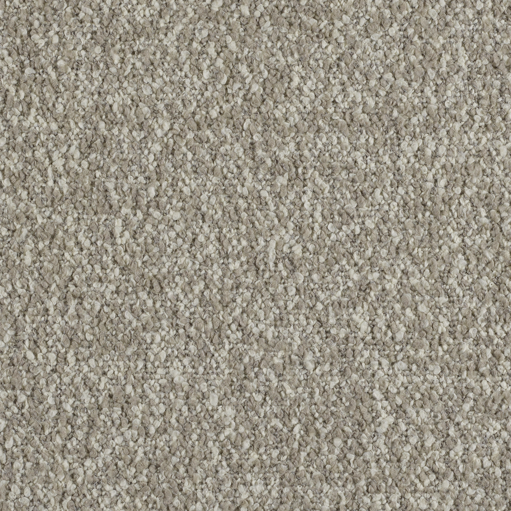 Curl - Image 1