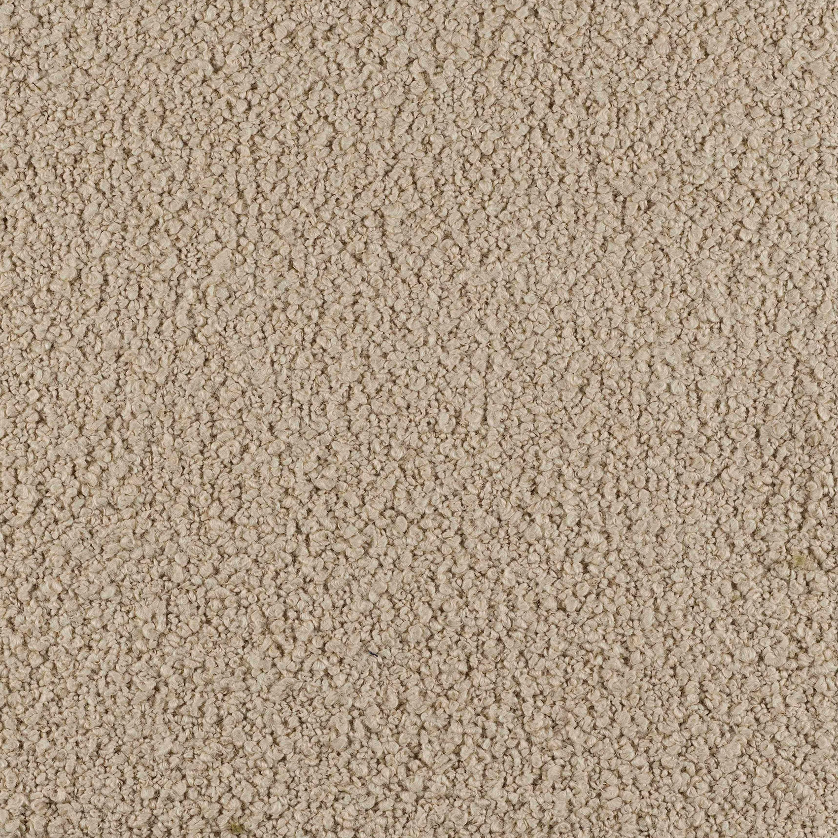 Curl - Image 2