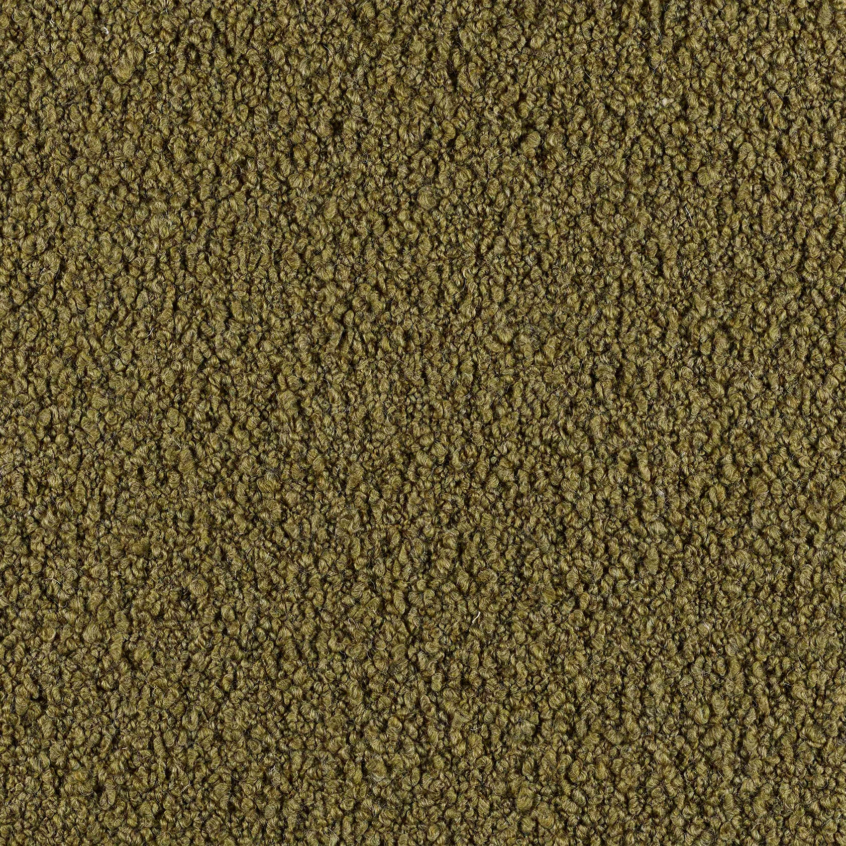Curl - Image 3