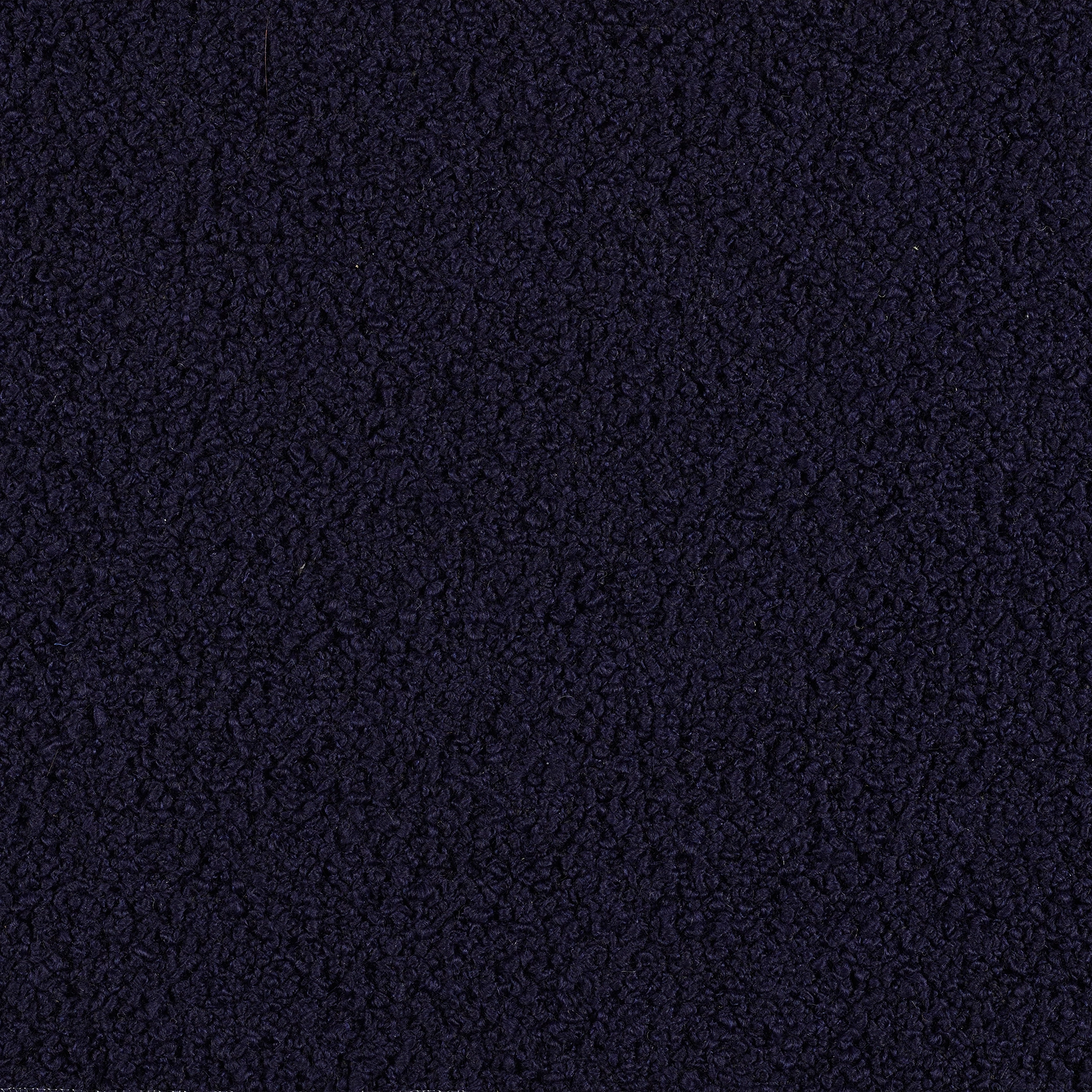 Curl - Image 4