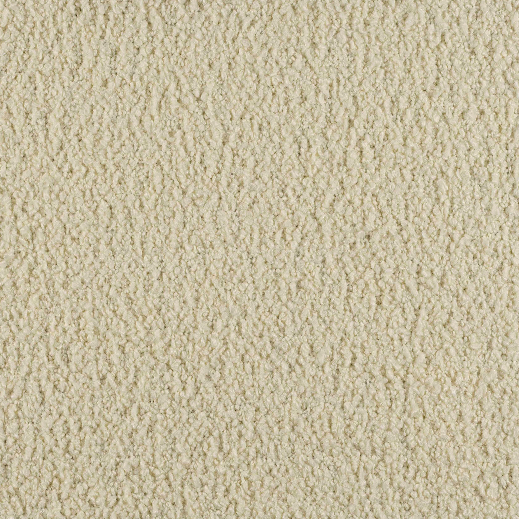 Curl - Image 5