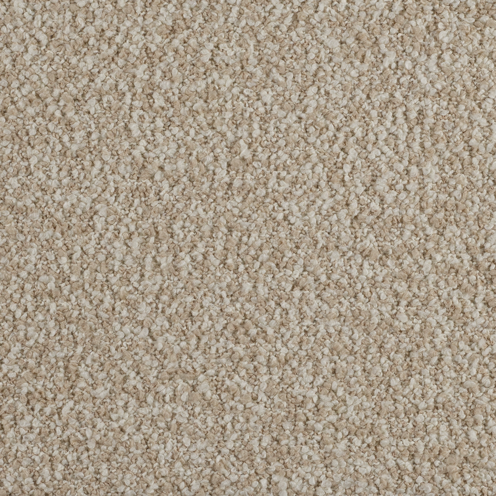 Curl - Image 6