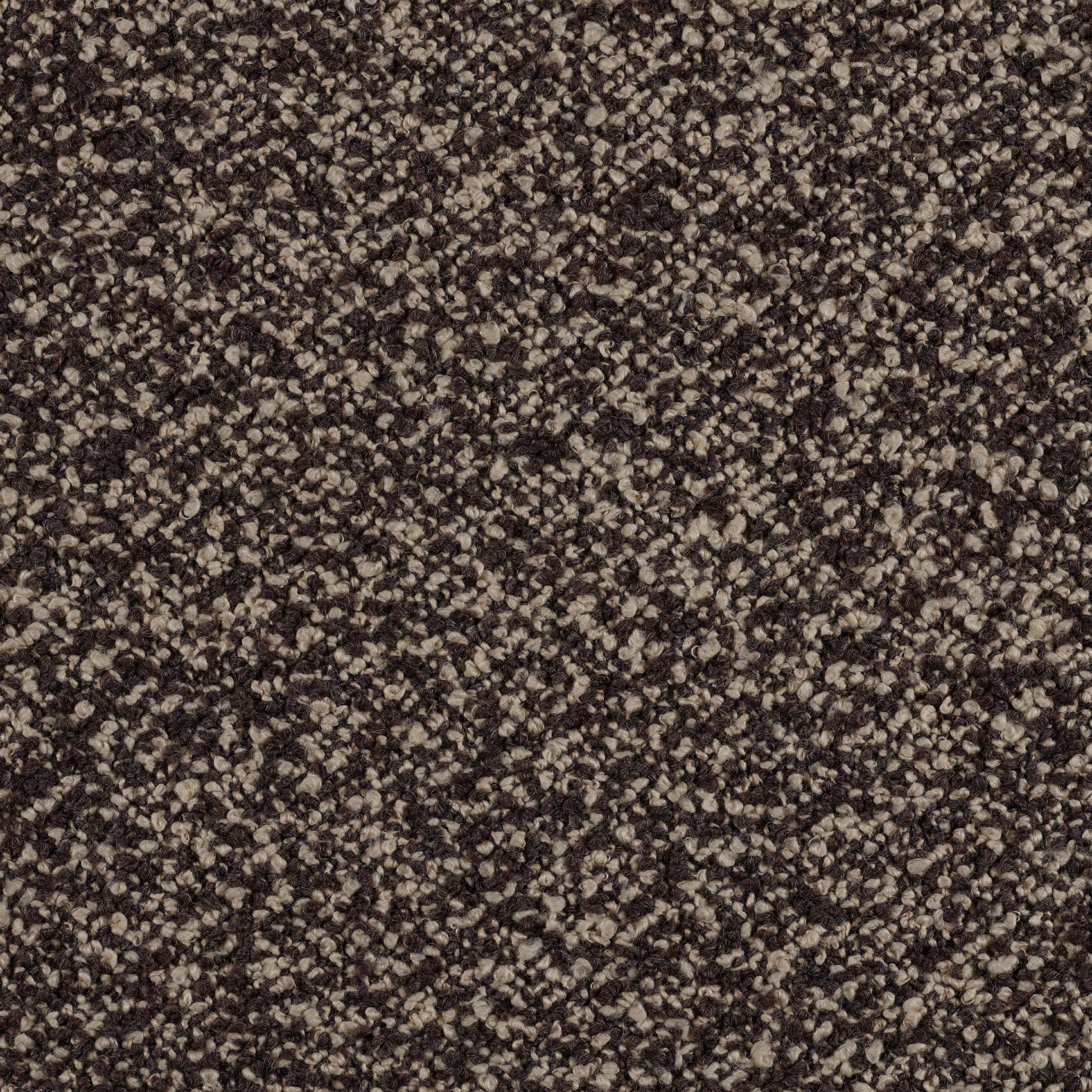 Curl - Image 7