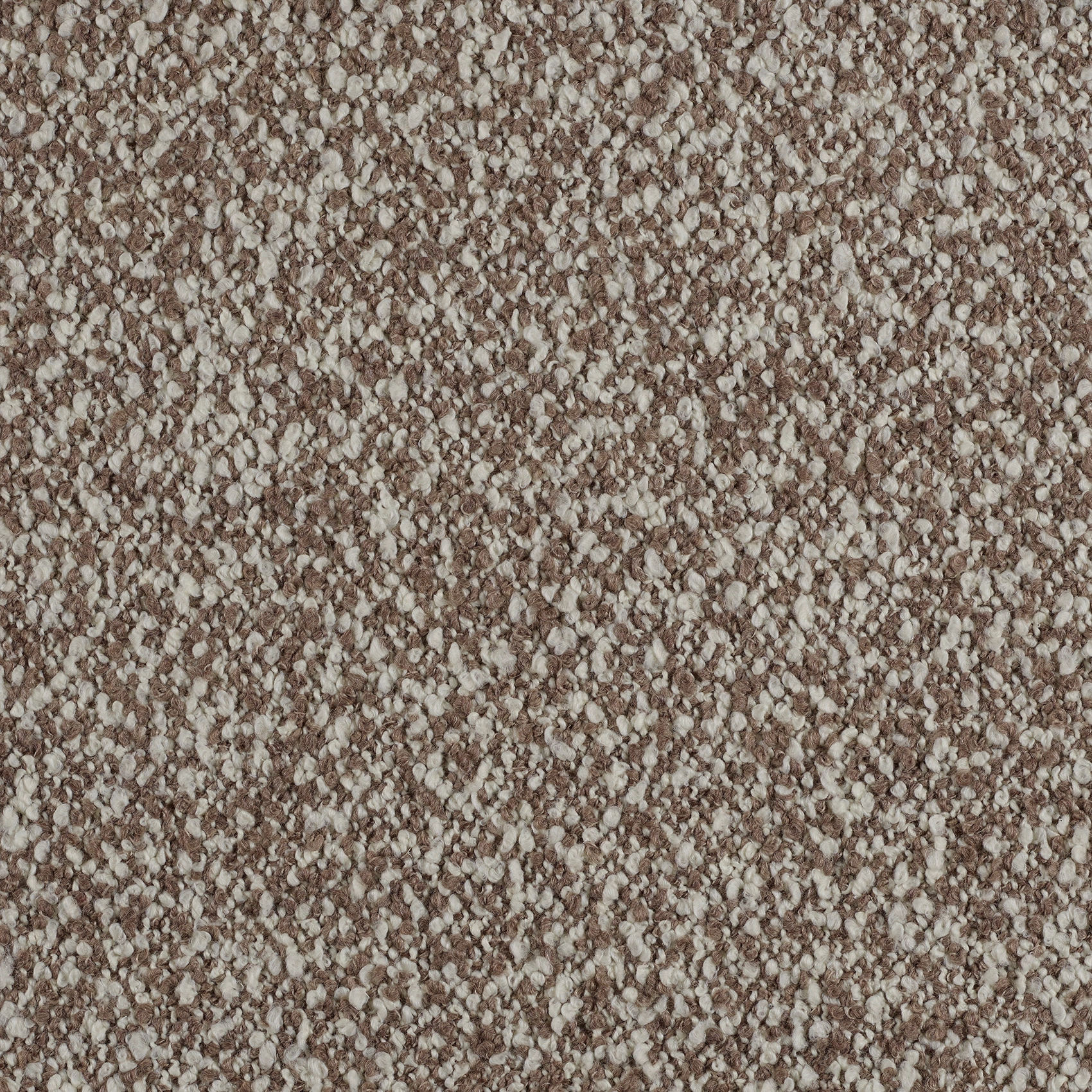 Curl - Image 8