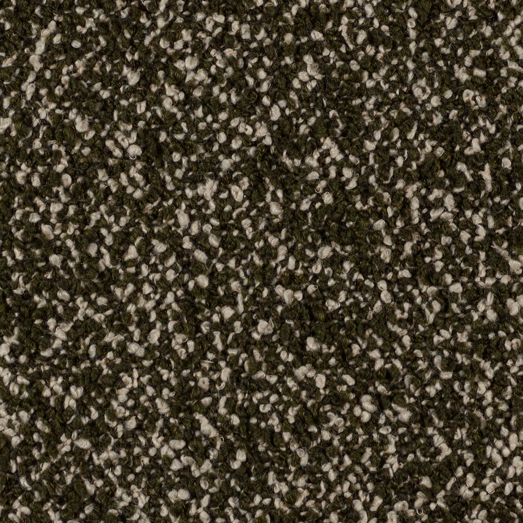 Curl - Image 9