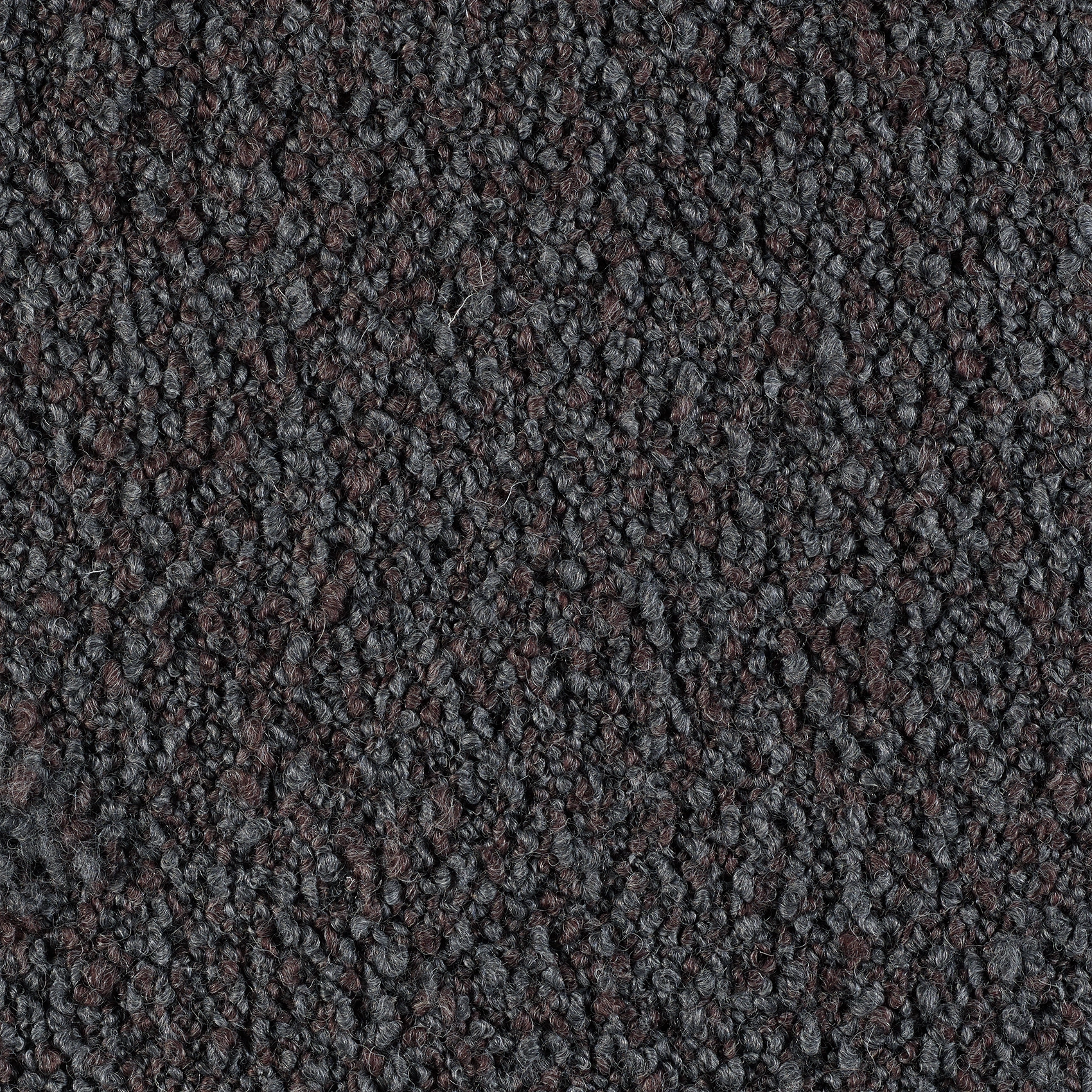 Curl - Image 10