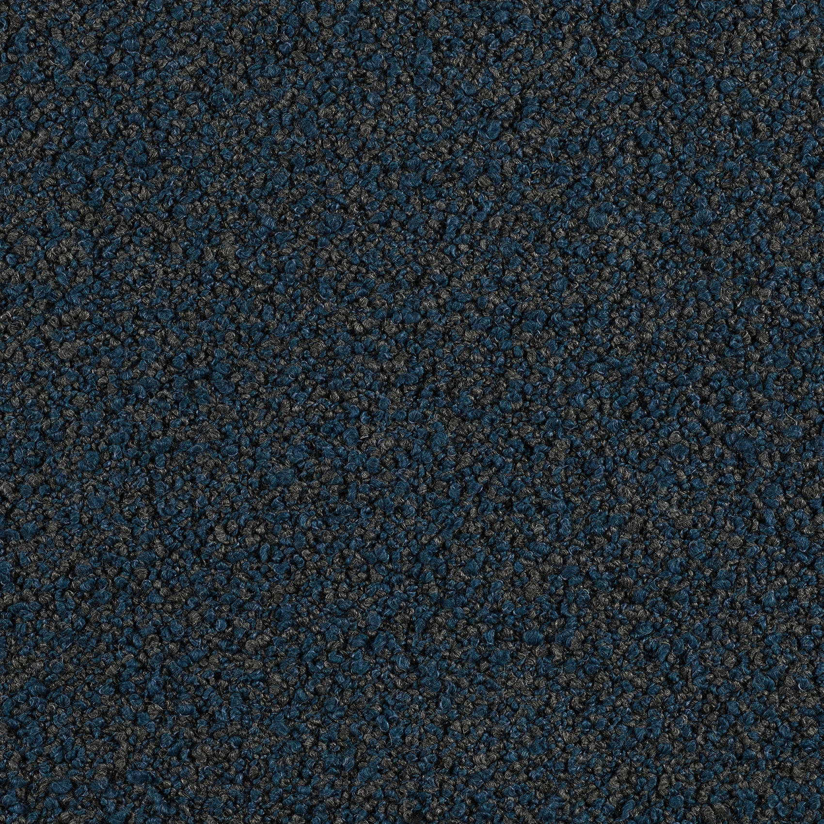 Curl - Image 11