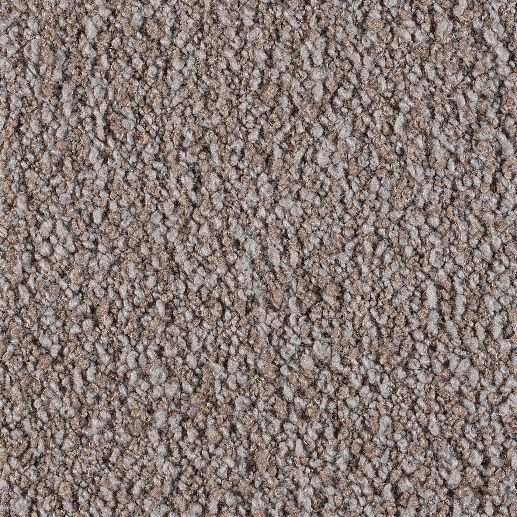 Curl - Image 12