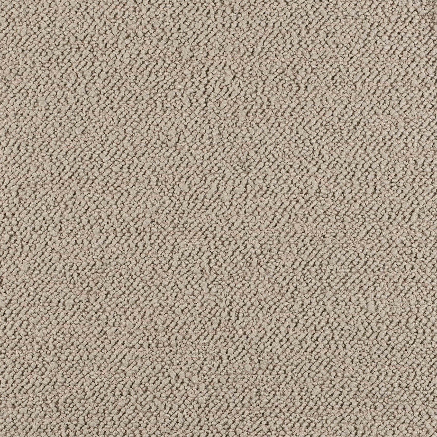 Grain - Image 4