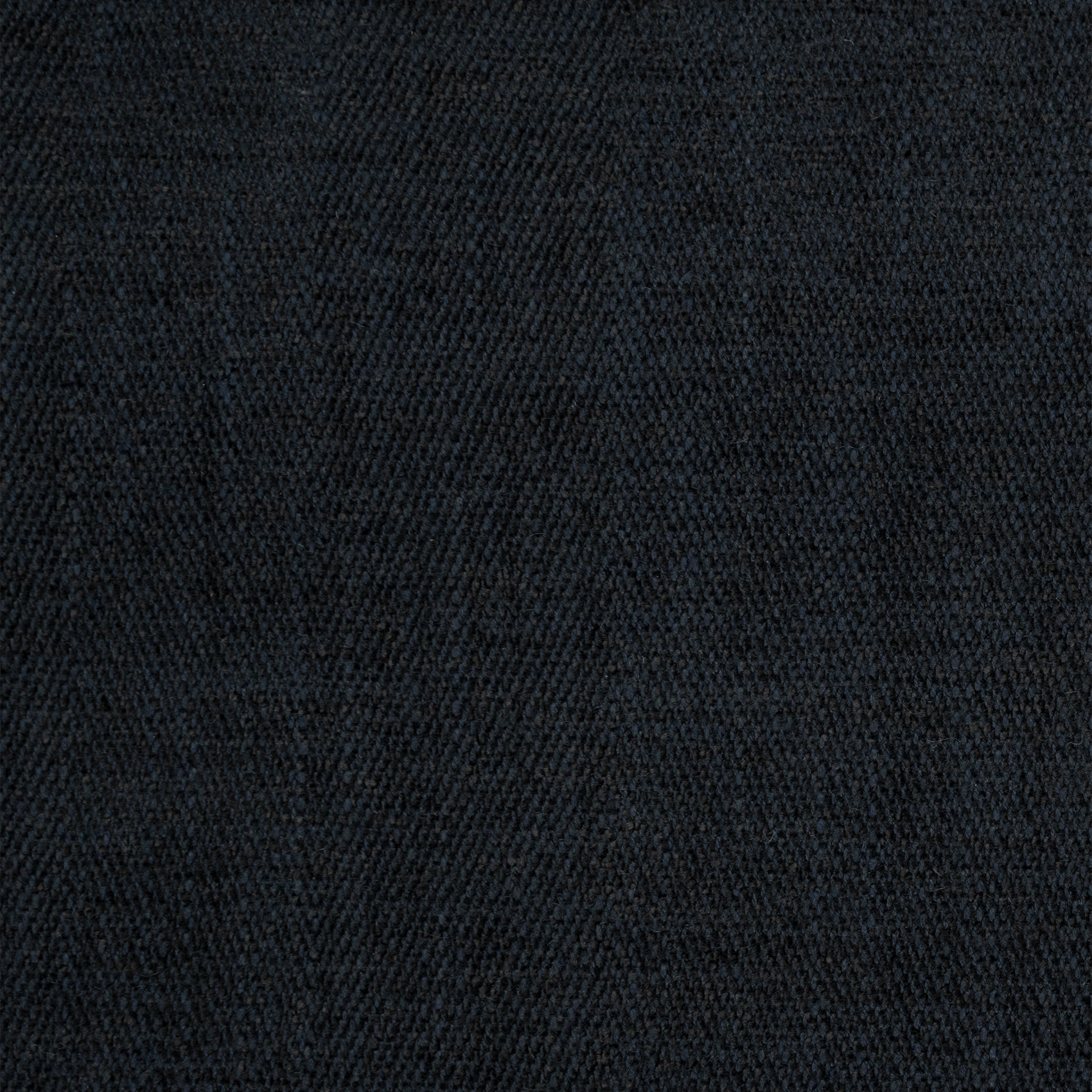 Herring - Image 4