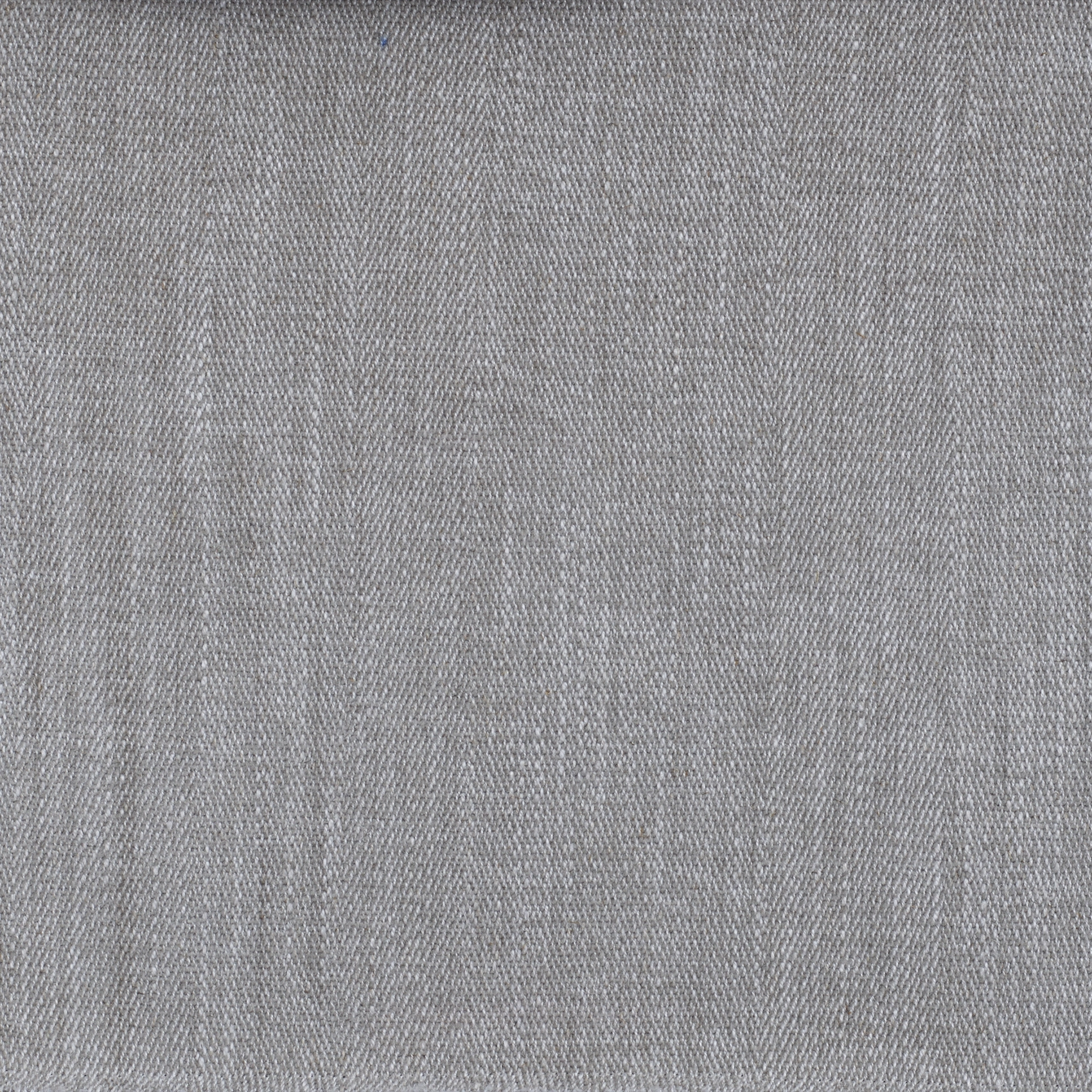 Herring - Image 6