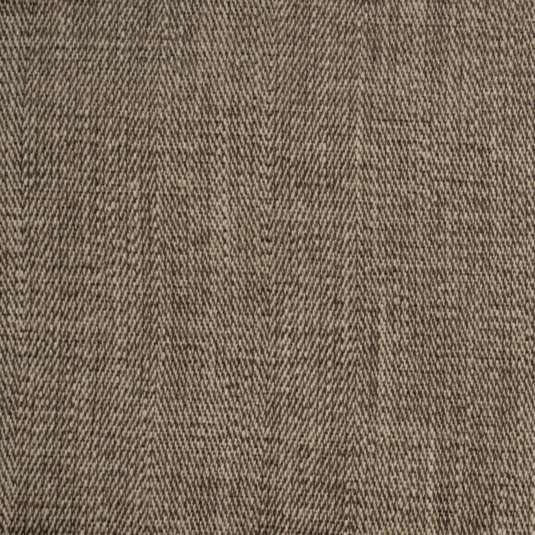 Herring - Image 8