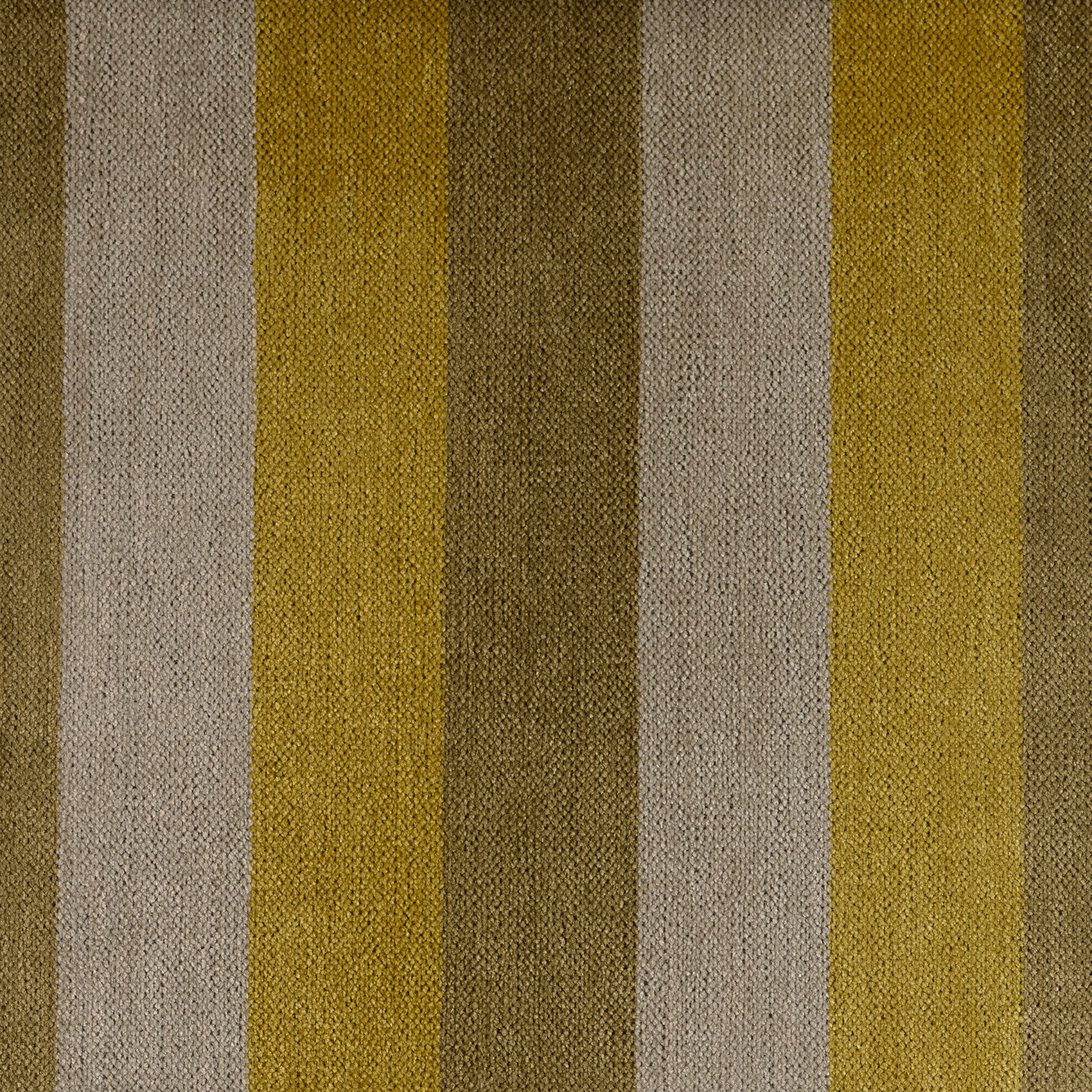 Lane - Image 7