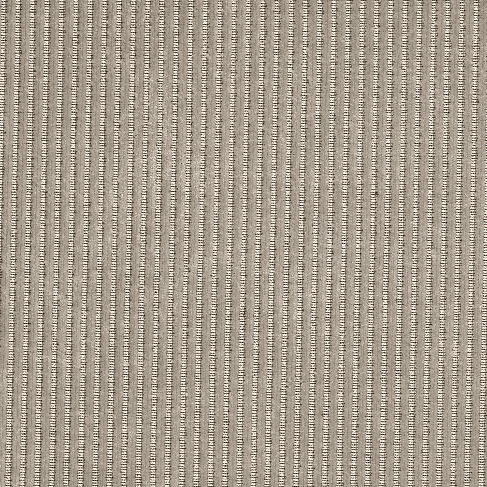 Munster - Image 3