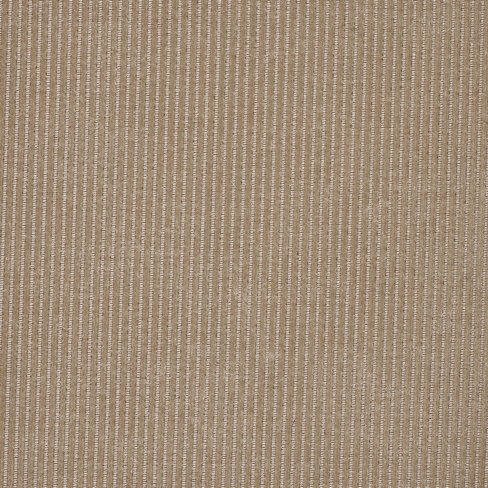 Munster - Image 4