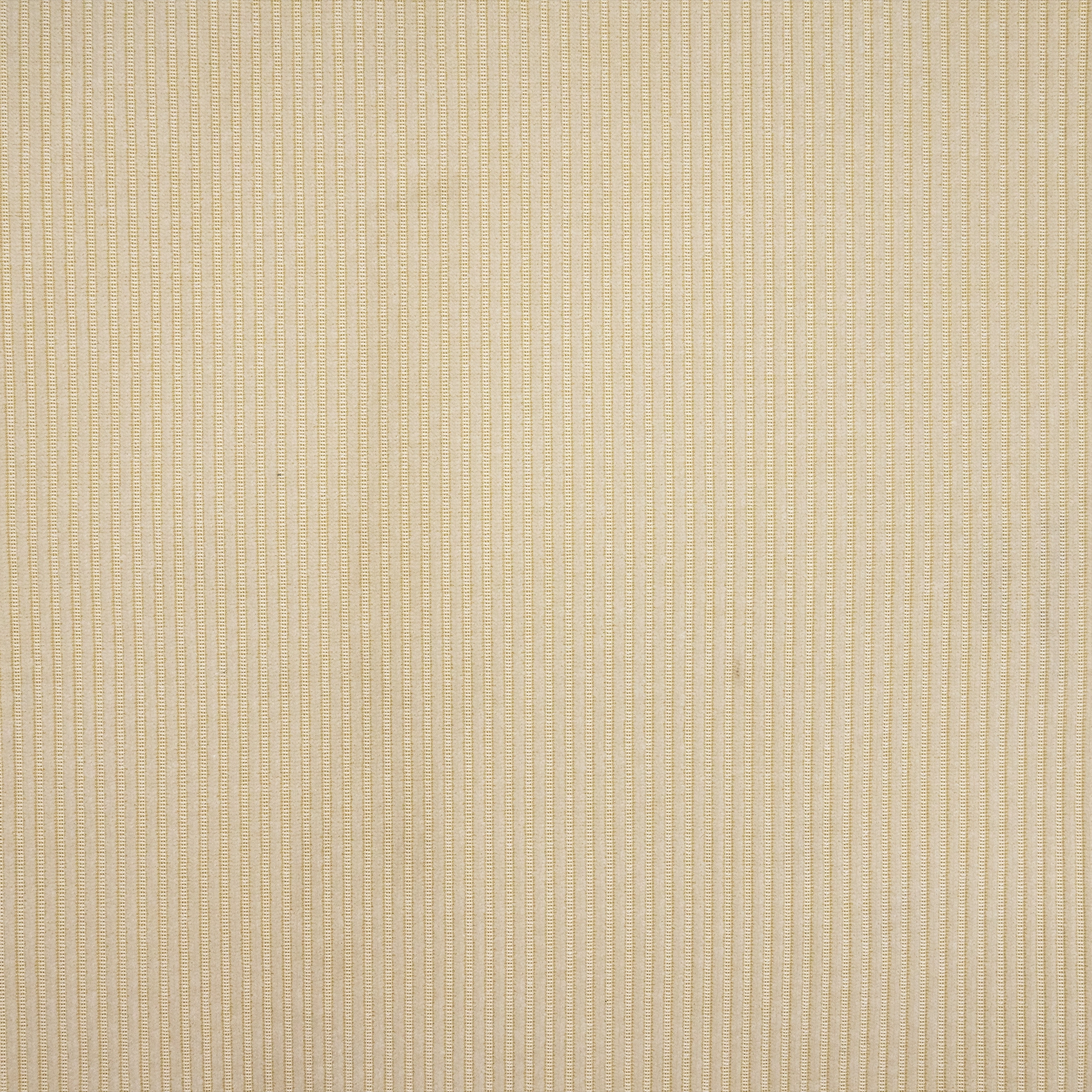 Munster - Image 11