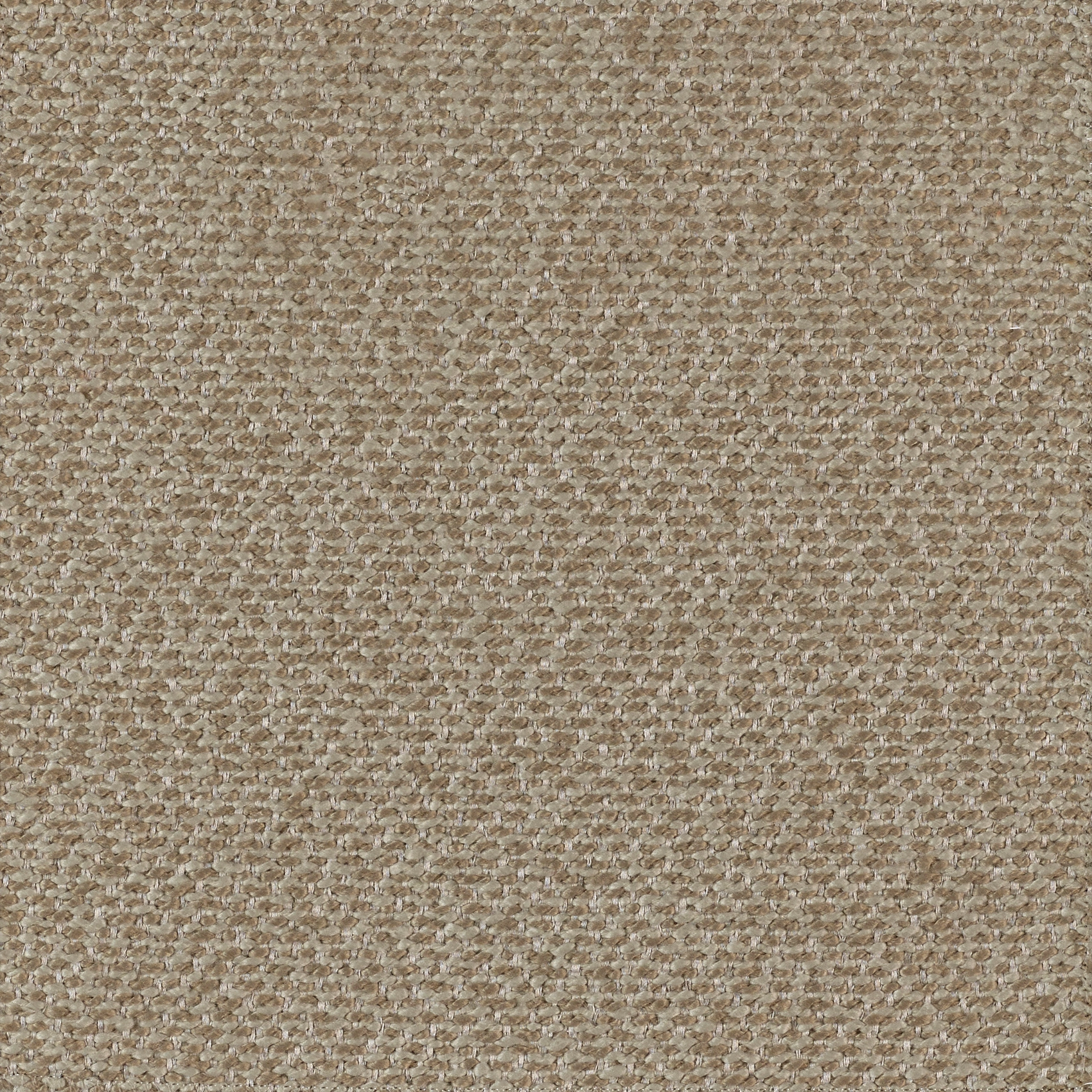 Plain - Image 3