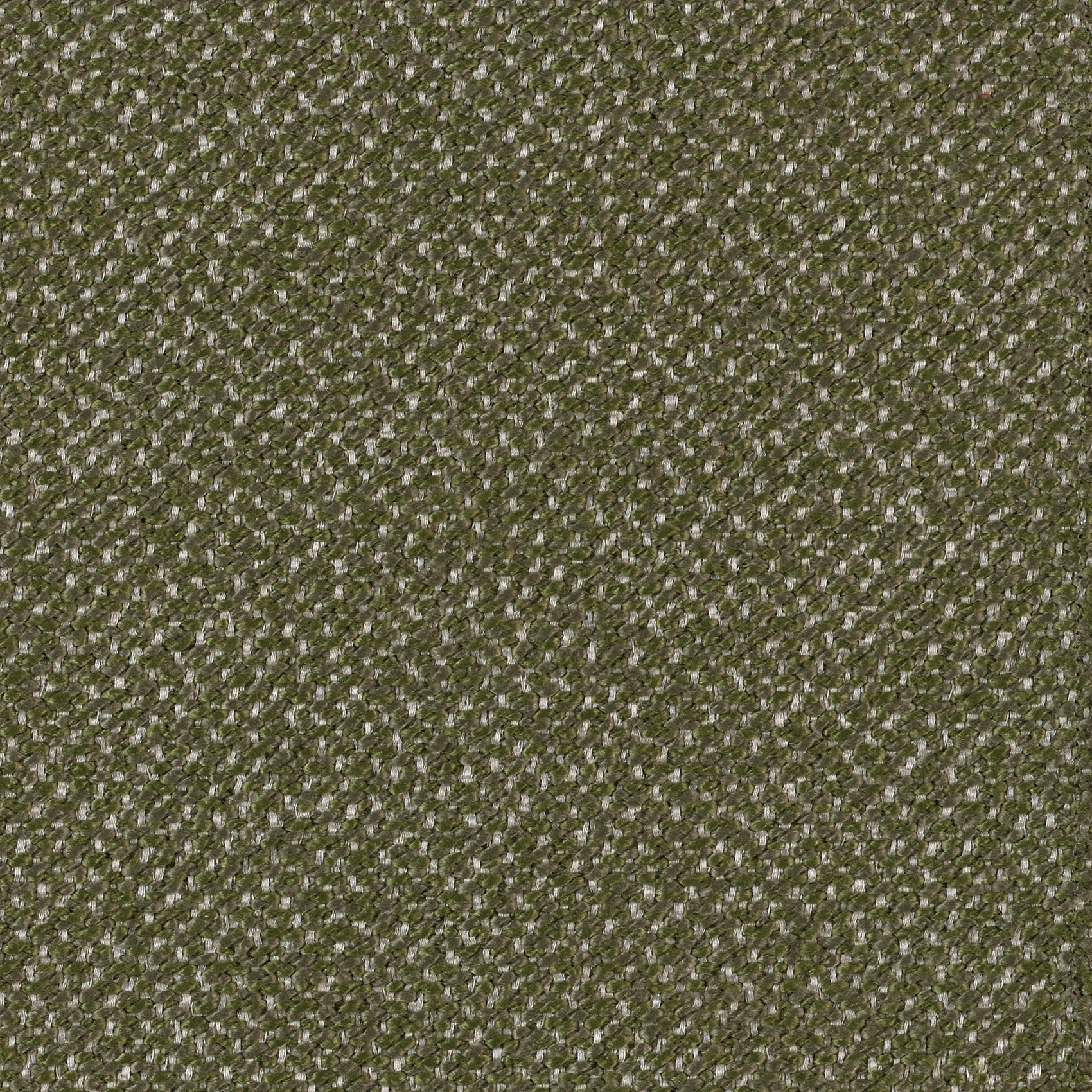 Plain - Image 5