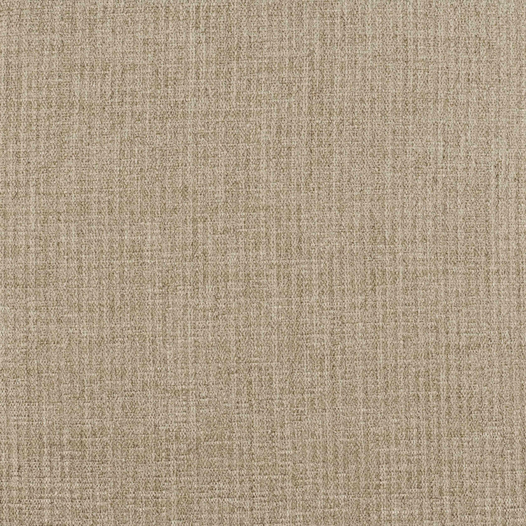 Pond - Image 7