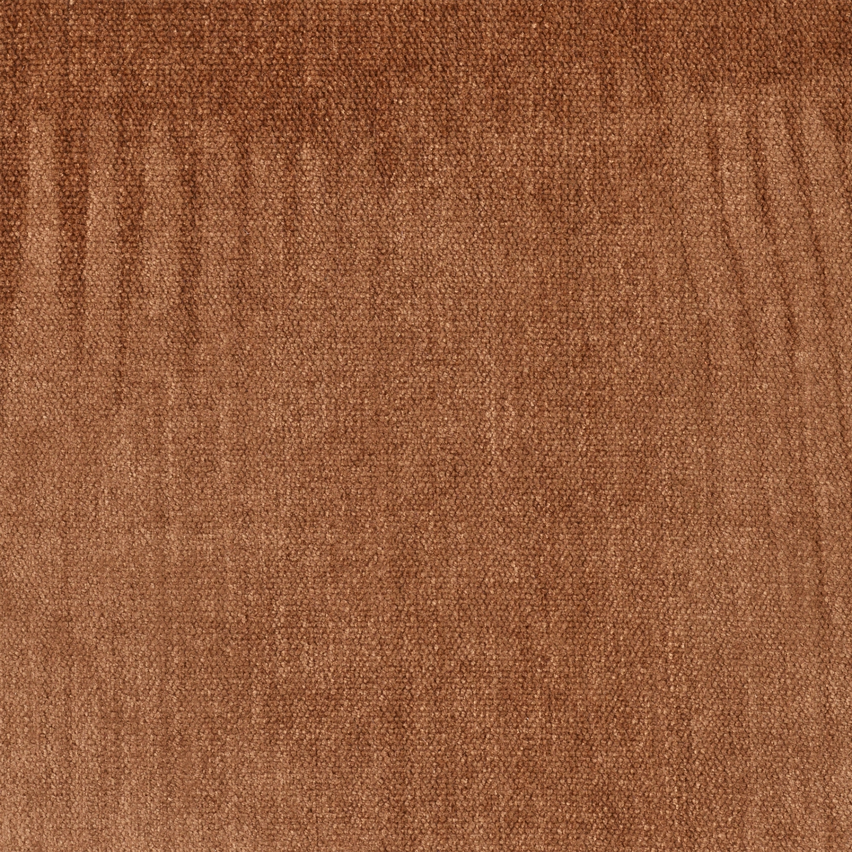 Soft - Image 2