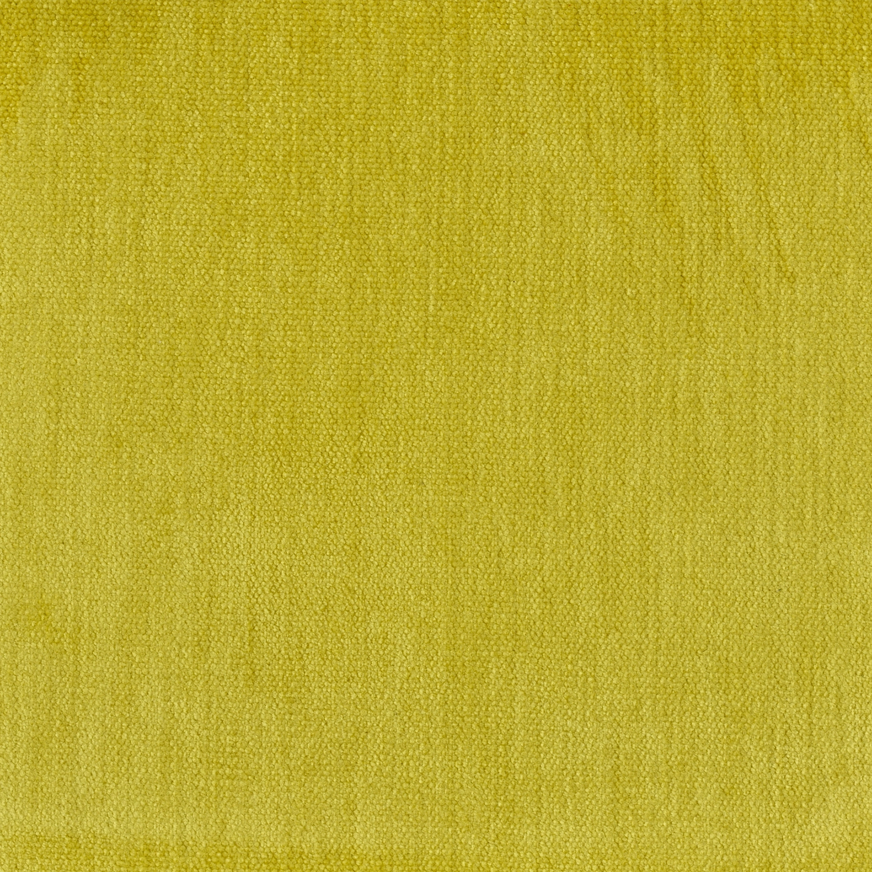 Soft - Image 4